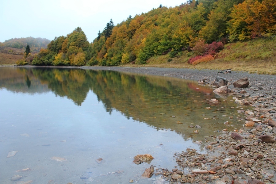 7 beautiful lakes in the Krasnodar region - My, Lake, Nature, Hike, Краснодарский Край, Republic of Adygea, Travels, Travel across Russia, Longpost