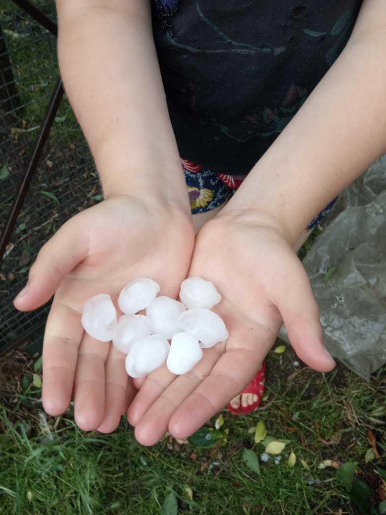 Krasnodar region Belorechensk district. hail - My, Hail, Anomaly, Harvest, Longpost