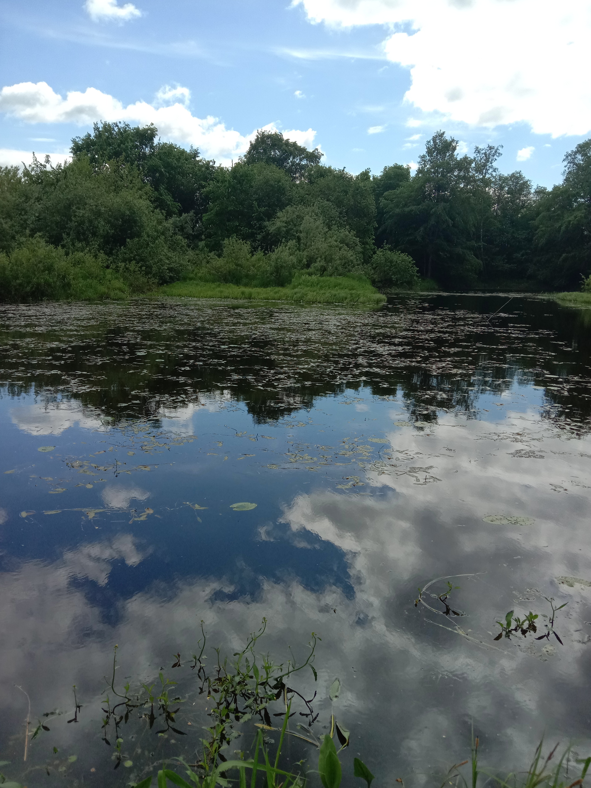 By the river - My, The photo, River, Longpost, Nature