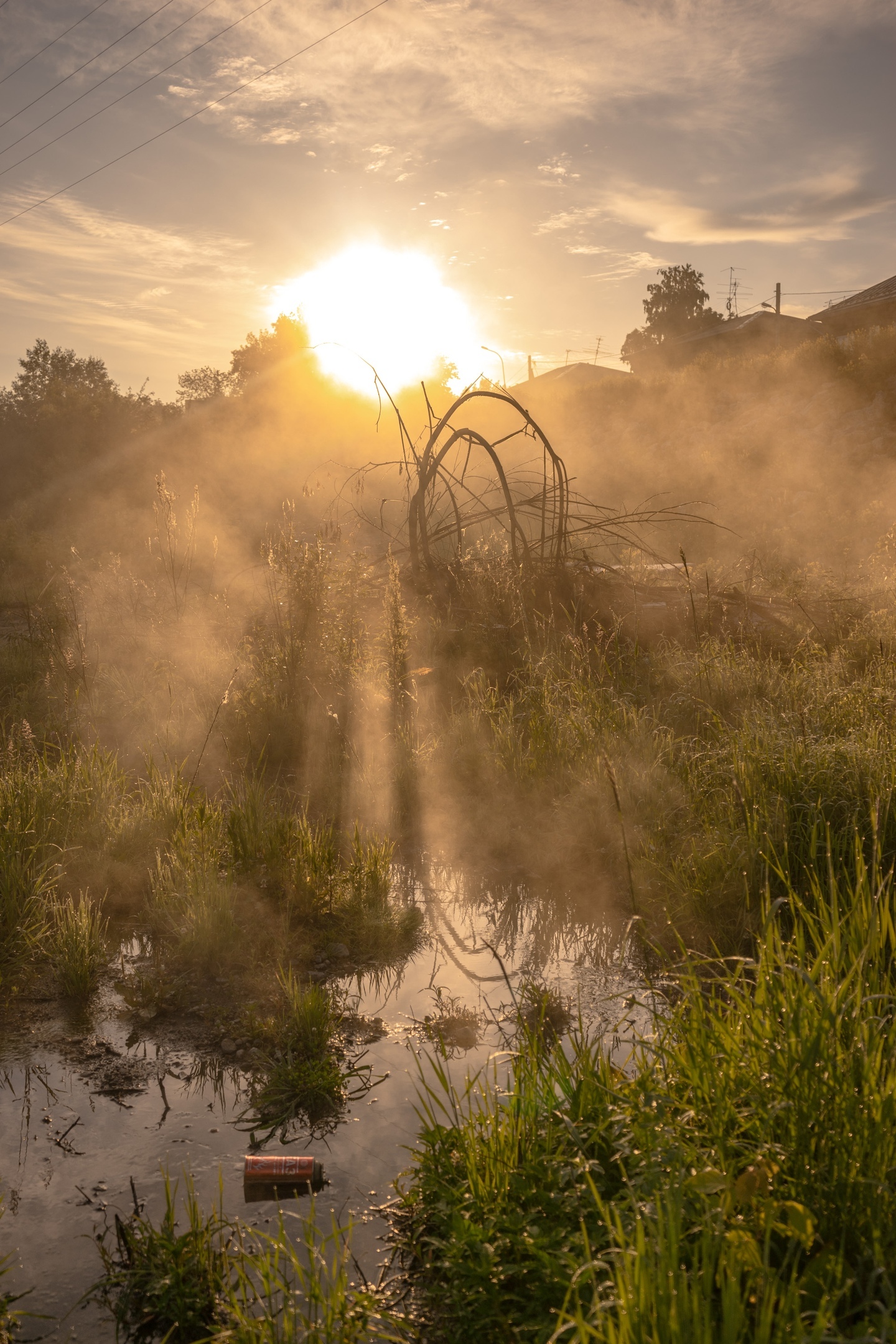 At dawn by the river - My, dawn, Fog, Nature, Morning, The photo, Tomsk, Longpost, River