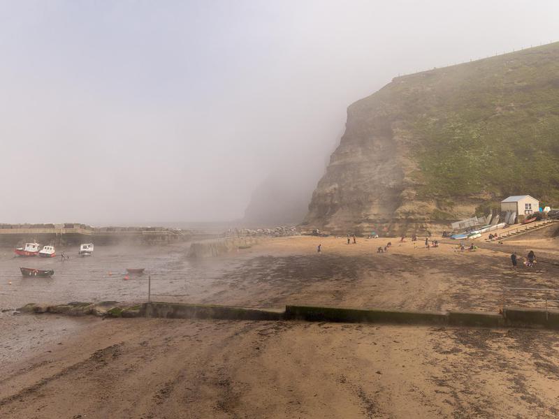 Stunning Beaches Where You're Sure to Get Eaten... or Killed - Beach, Horror, Death, Longpost