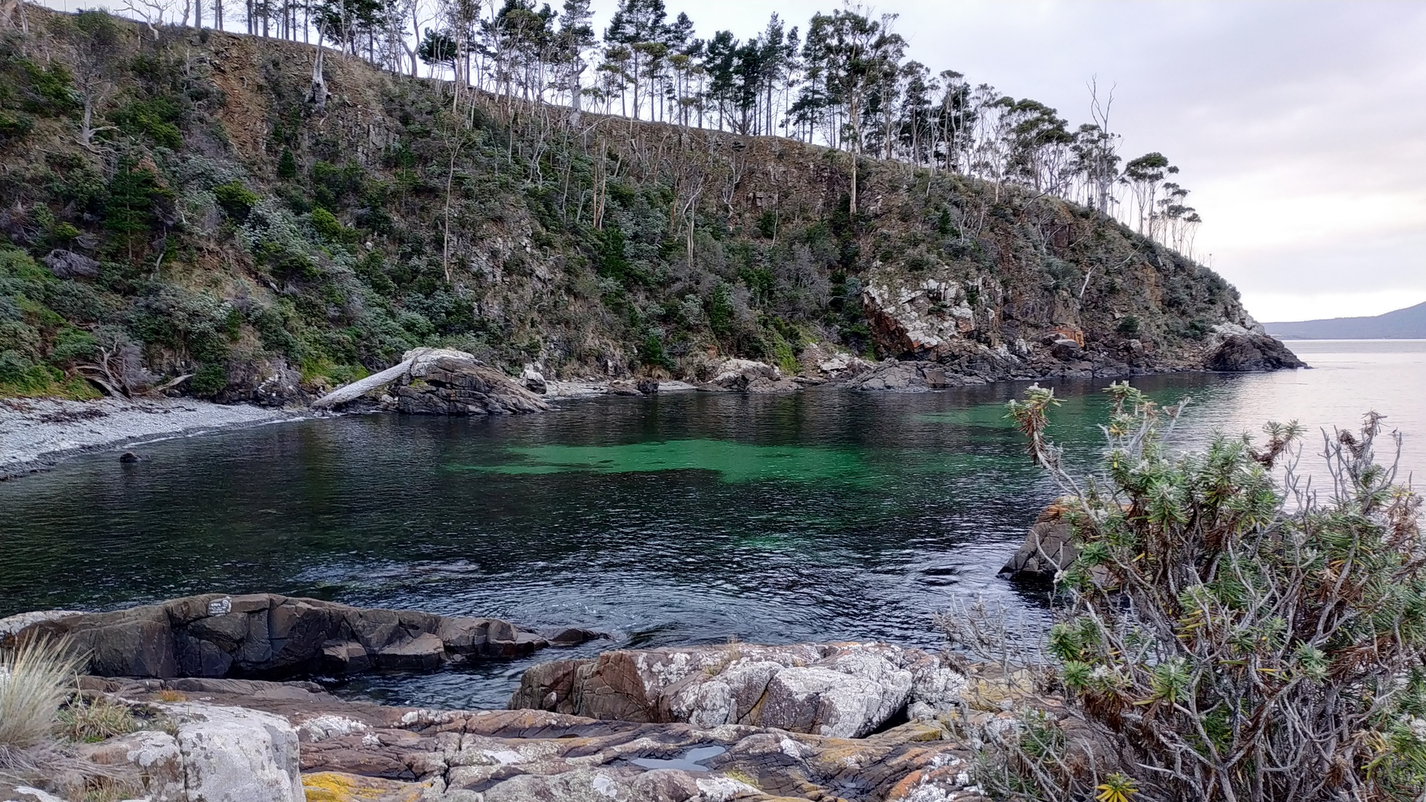 Тасмания, Roaring Bay Beach - Моё, Австралия, Тасмания, Море, Залив