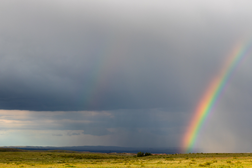 Orenburg steppe in spring. May 2020 - My, Steppe, Orenburg region, Longpost