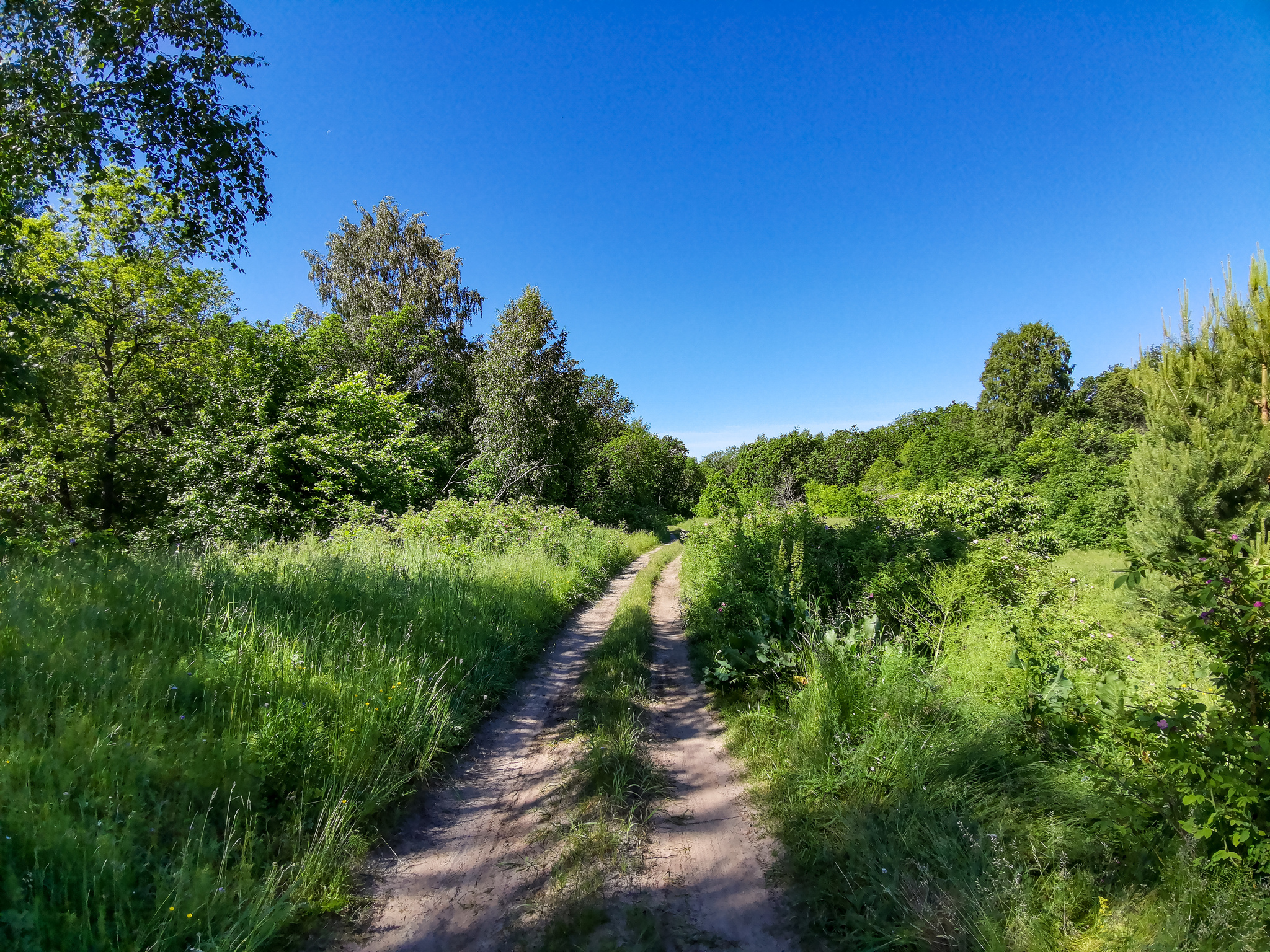 Landscape bike ride - My, Mobile photography, Huawei mate 20, Landscape, A bike, Longpost