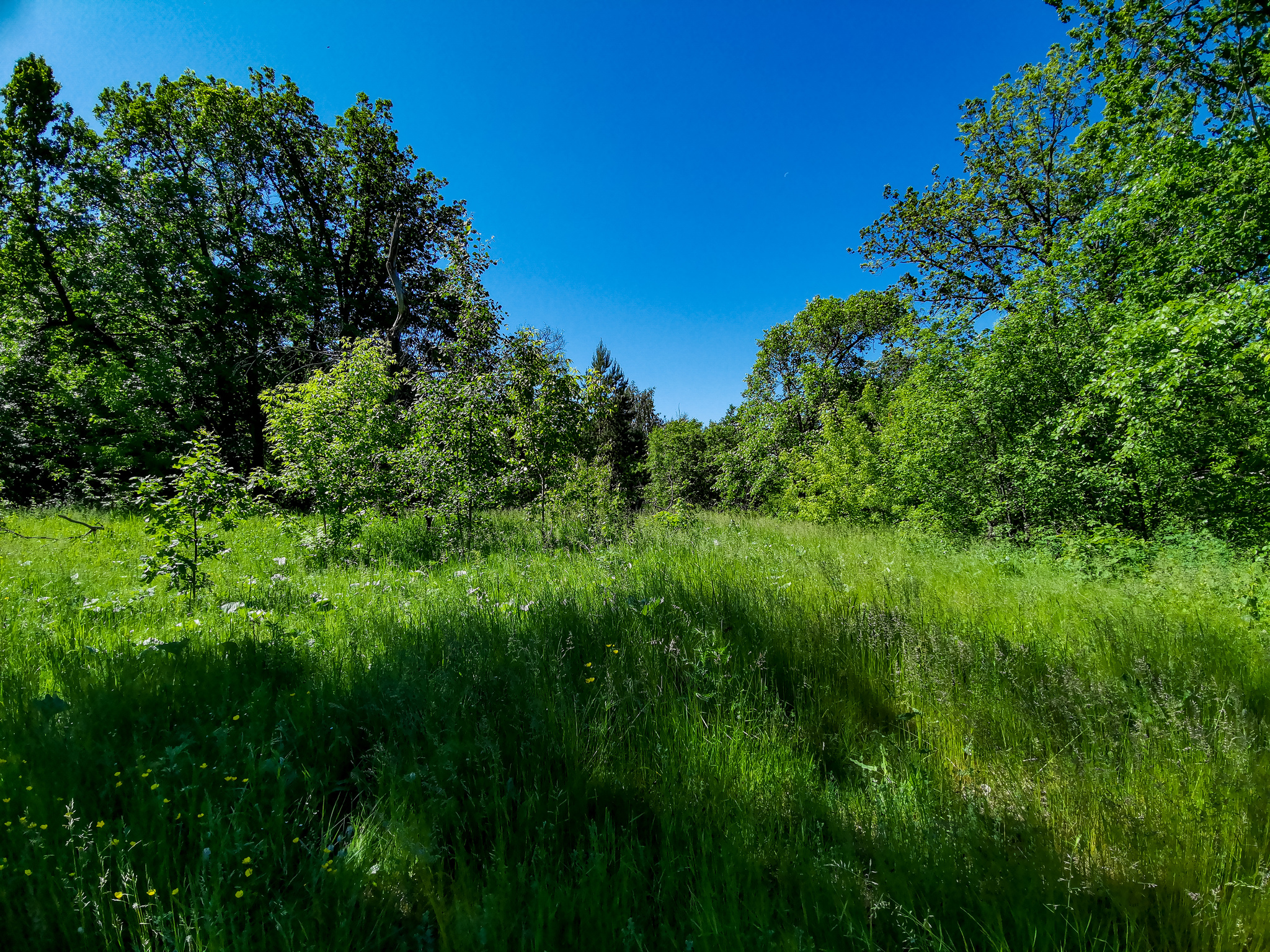 Landscape bike ride - My, Mobile photography, Huawei mate 20, Landscape, A bike, Longpost