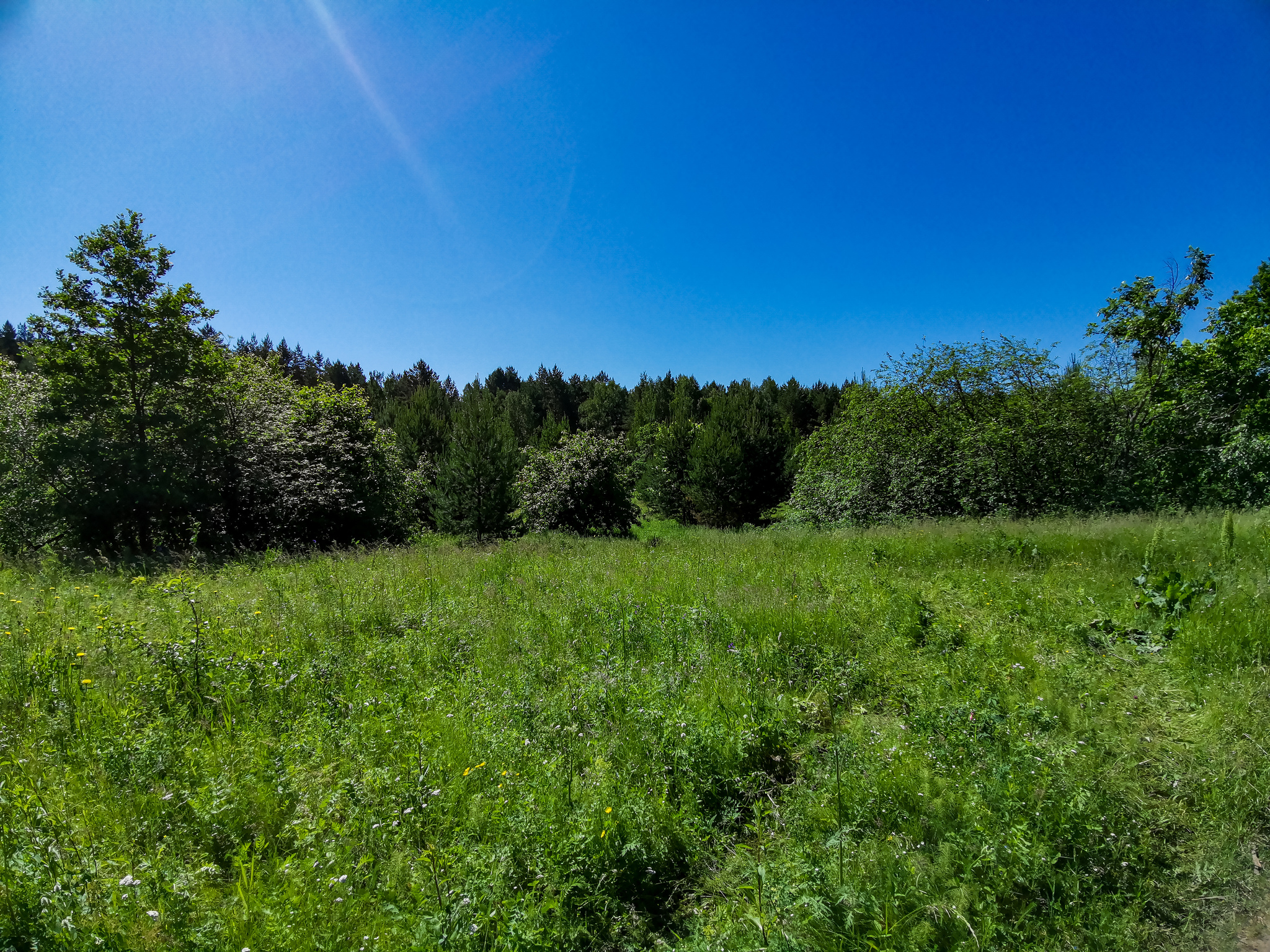 Landscape bike ride - My, Mobile photography, Huawei mate 20, Landscape, A bike, Longpost