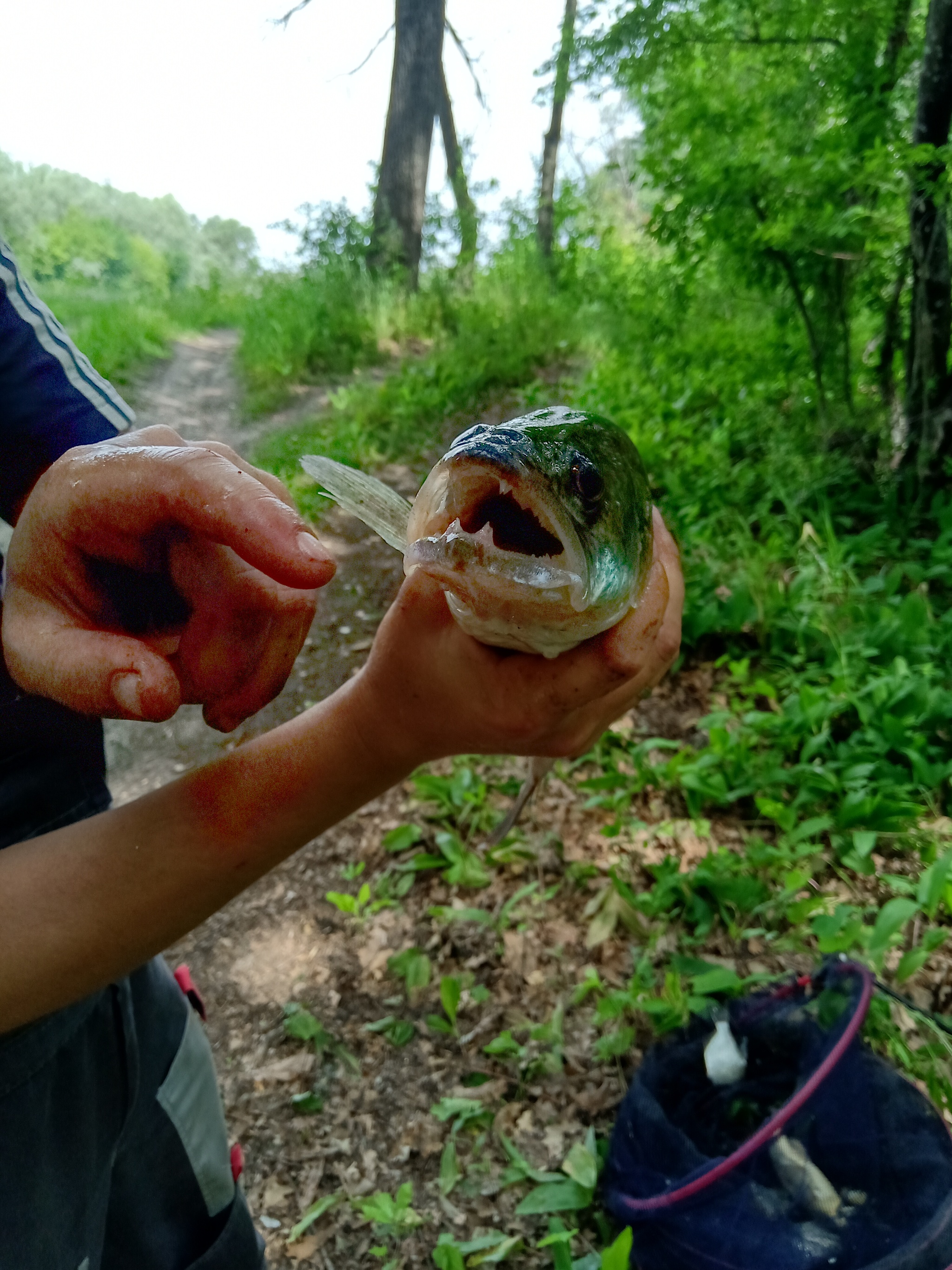 On Khopra - My, Fishing, Volgograd region, Longpost