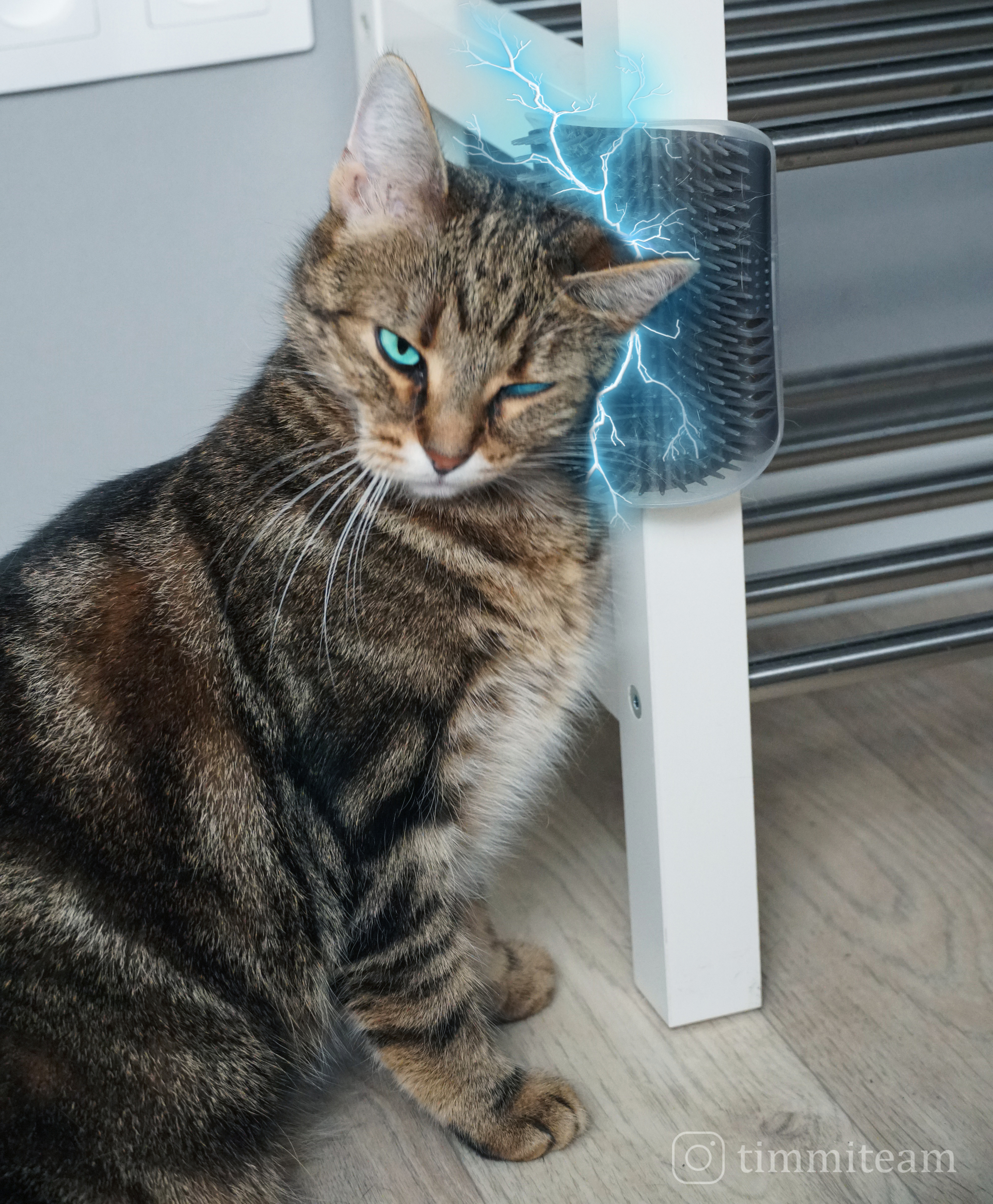 Power generator - My, cat, Photoshop