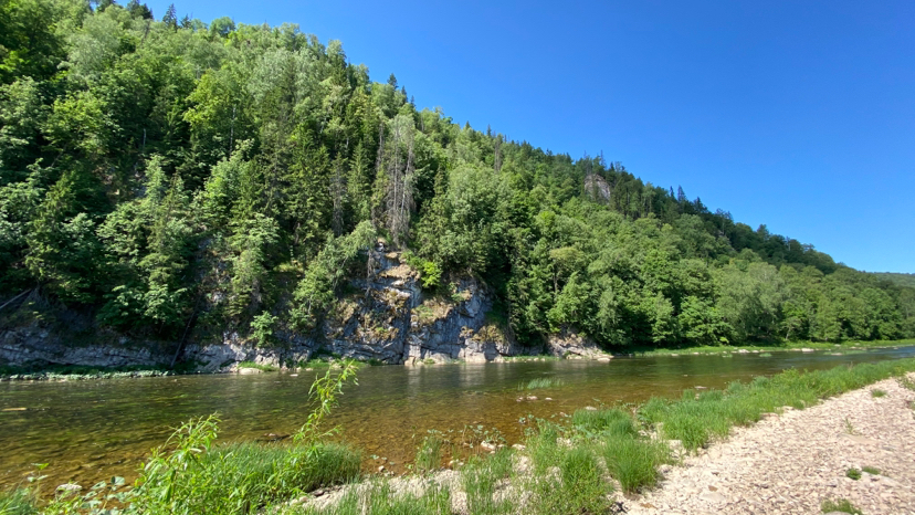 River Zilim. Republic of Bashkortostan. 2020 - My, Zilim, Bashkortostan, Longpost, Nature, The photo