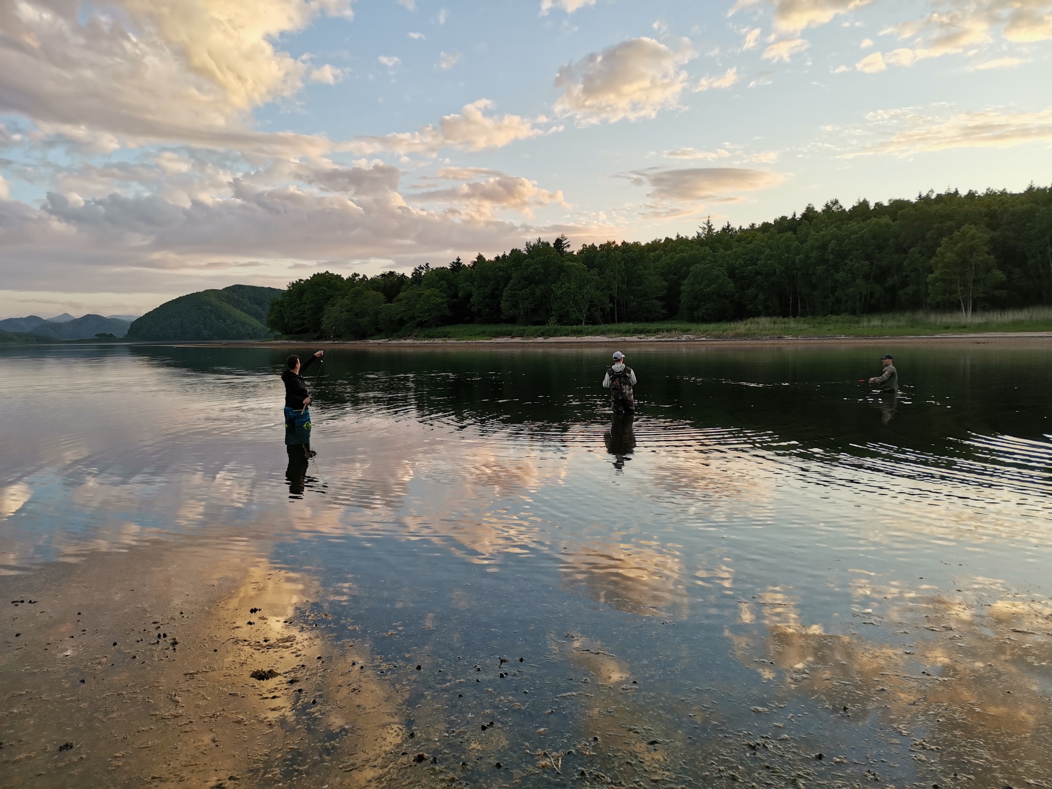 Huge taimen for light spinning, kunj, bulls and smallmouth in one place - My, Taimen, Sakhalin, Yuzhno-Sakhalinsk, Fishing, Sima, Pink salmon, Siberian salmon, Loach, Video, Longpost