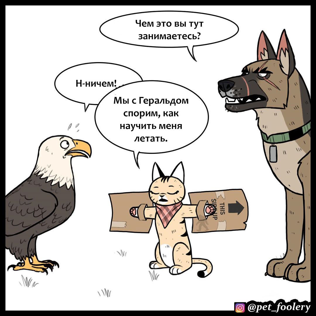 Крылья - Pet Foolery, Брут и Пикси, Комиксы, Длиннопост