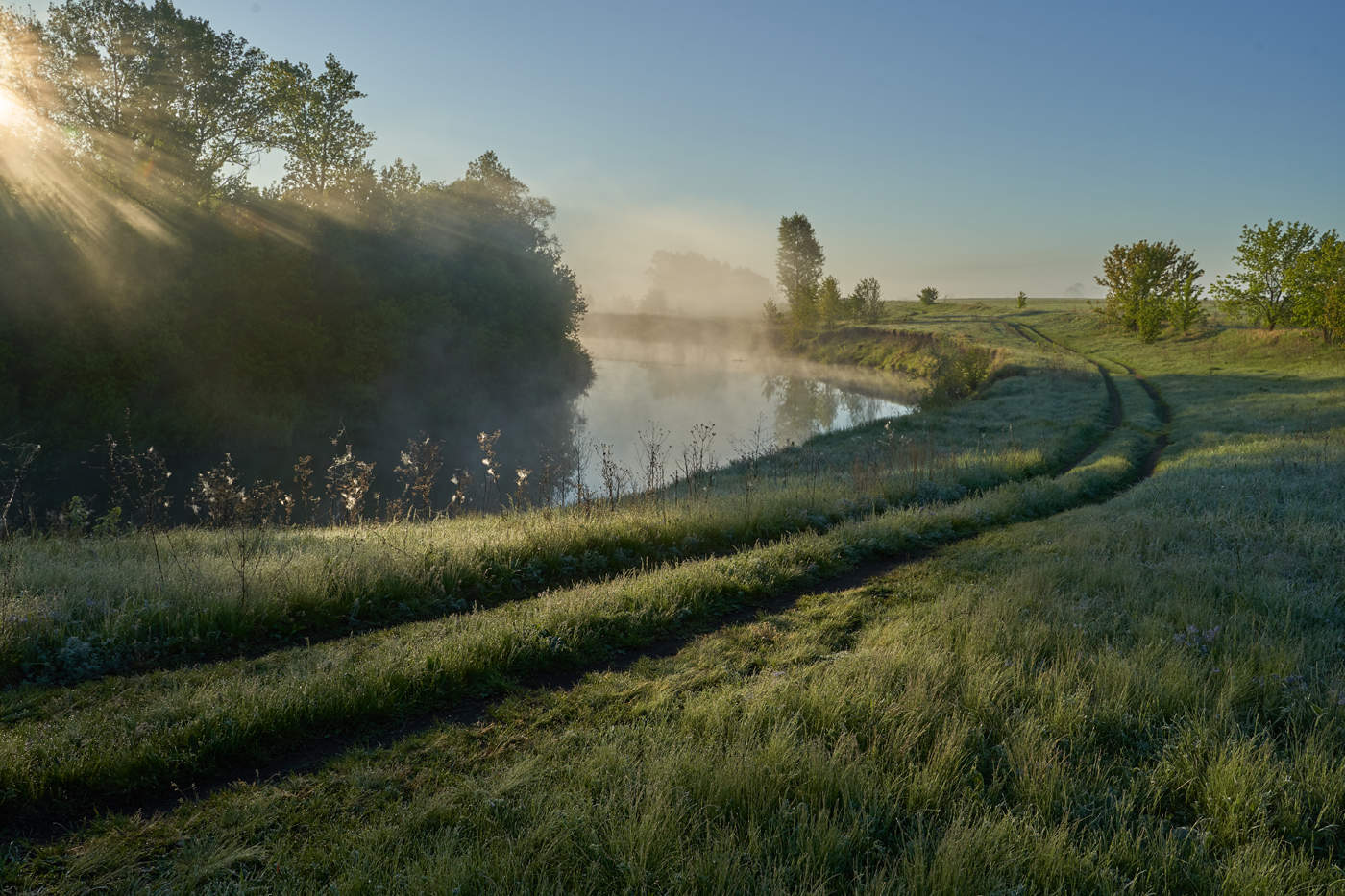 Morning on the river - River, Fog, Road, Grass, Nature, The photo