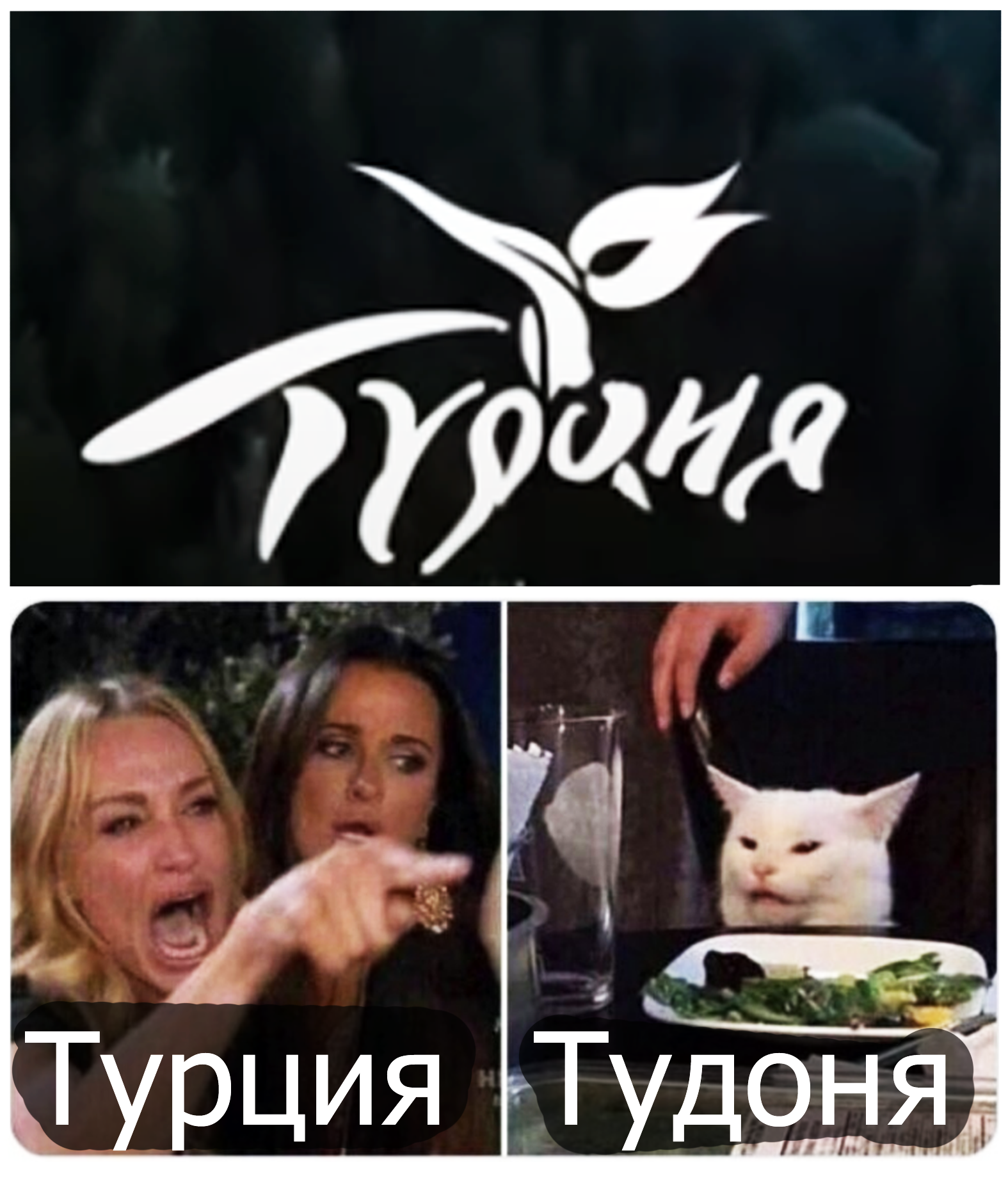 Tudonya-sudonya - Two women yell at the cat, Logo, Turkey, Images