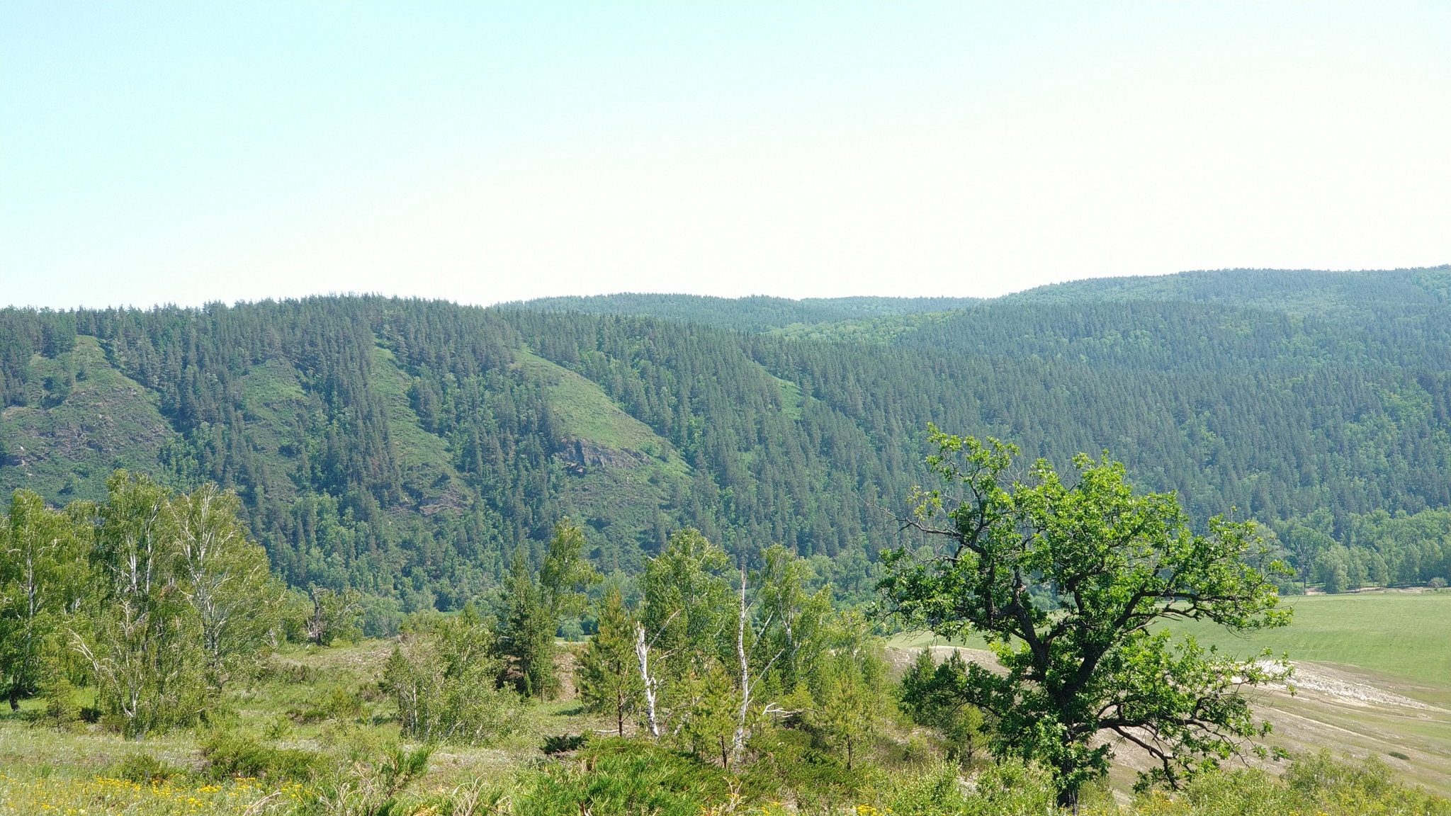 Nature of Russia. Part one. Bashkiria. Burzyan - My, Bashkortostan, Landscape, Nature, Shulgan-Tash, Kapova Cave, Longpost