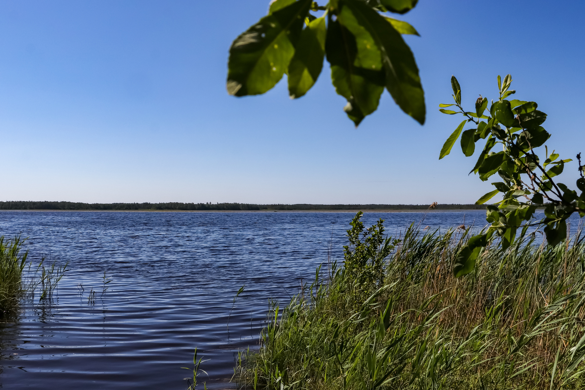 Велосипедно-летнее - Моё, Фотография, Велосипед, Природа, Лето, Озеро, Длиннопост