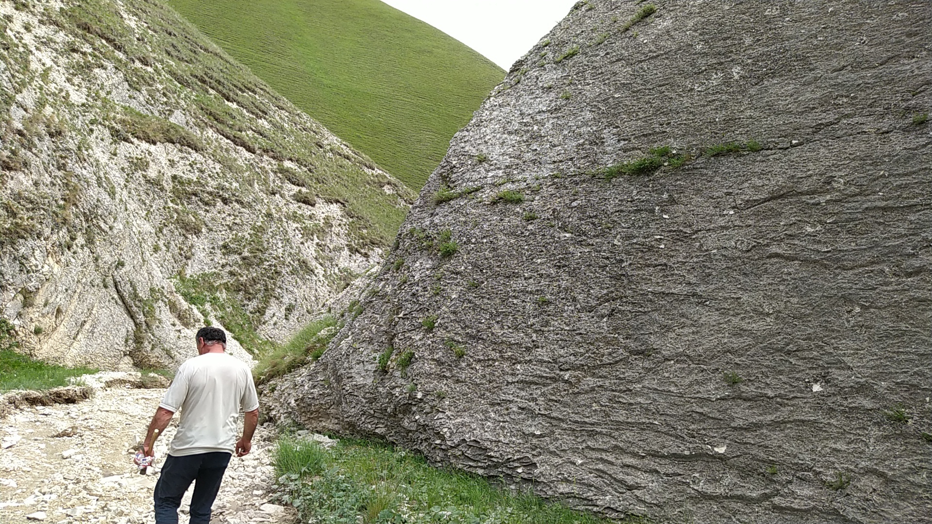 Continuation of the post “Fossils in the ravine” - My, Bones, Fossils, Archeology, Paleontology, The mountains, Dagestan, Reply to post, Longpost