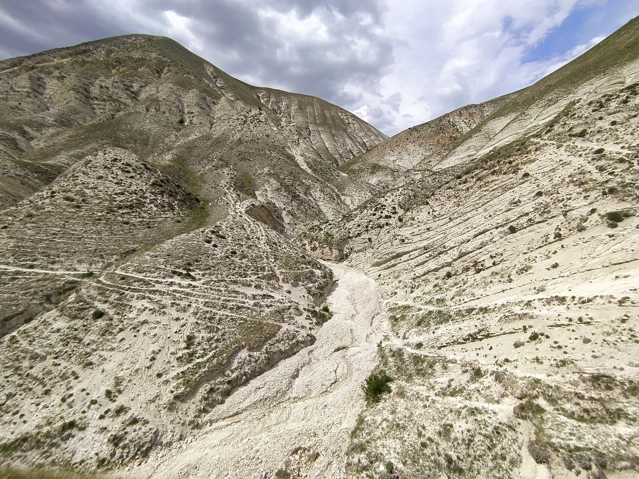 Continuation of the post “Fossils in the ravine” - My, Bones, Fossils, Archeology, Paleontology, The mountains, Dagestan, Reply to post, Longpost