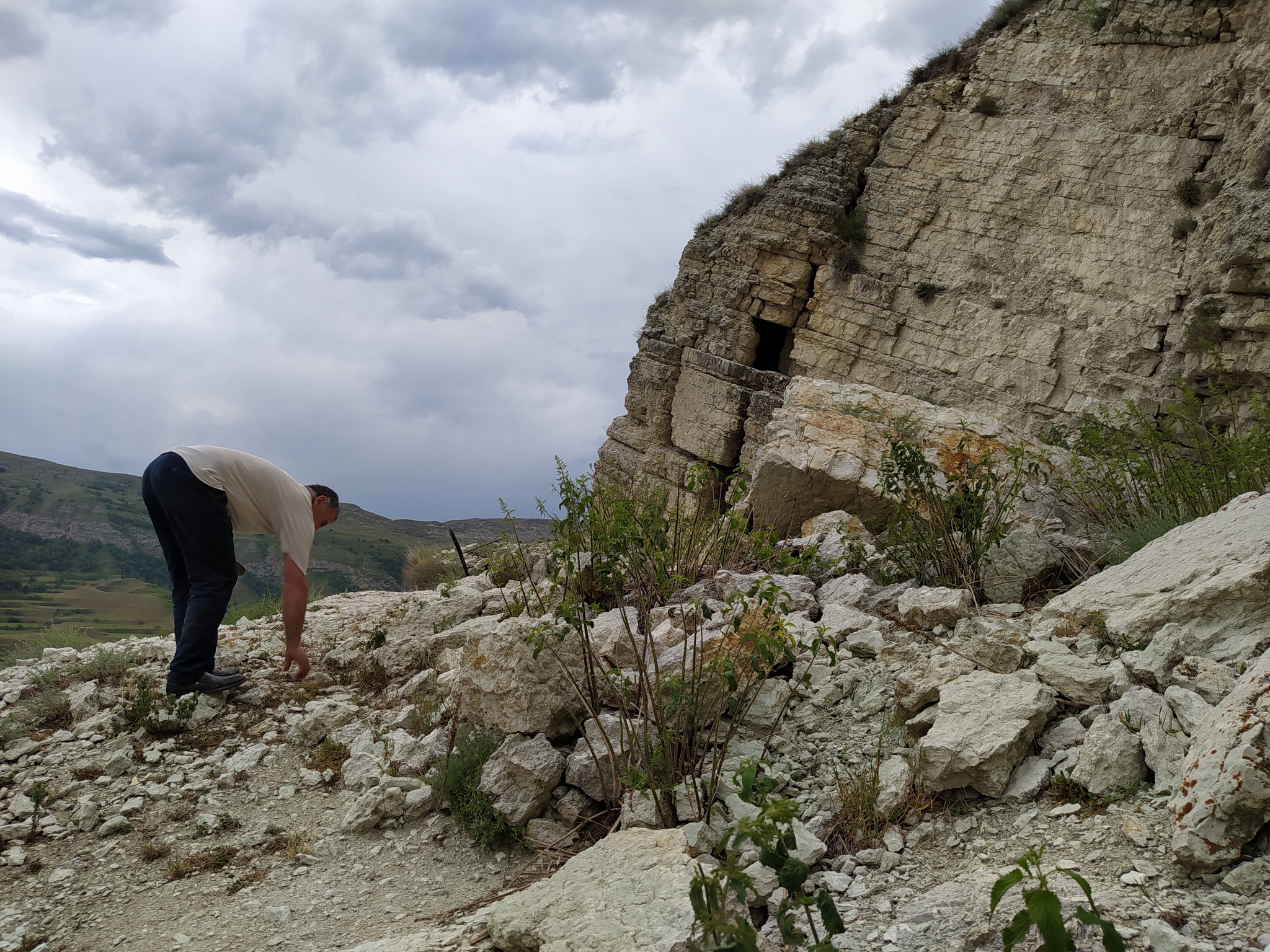 Continuation of the post “Fossils in the ravine” - My, Bones, Fossils, Archeology, Paleontology, The mountains, Dagestan, Reply to post, Longpost