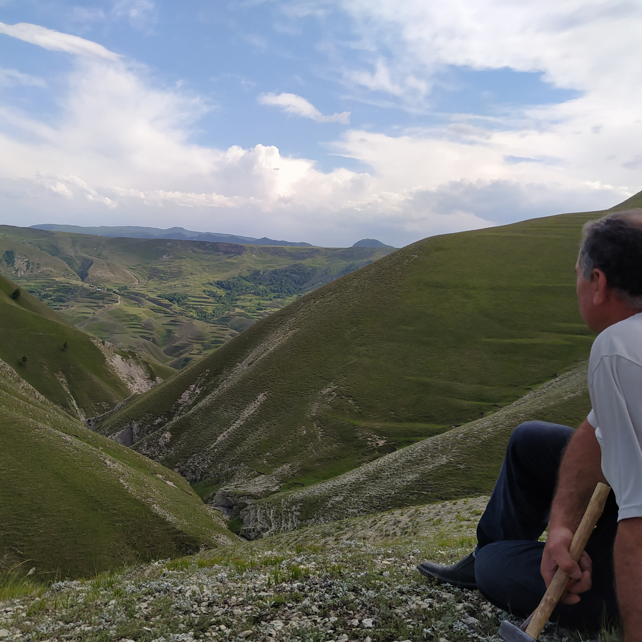 Continuation of the post “Fossils in the ravine” - My, Bones, Fossils, Archeology, Paleontology, The mountains, Dagestan, Reply to post, Longpost