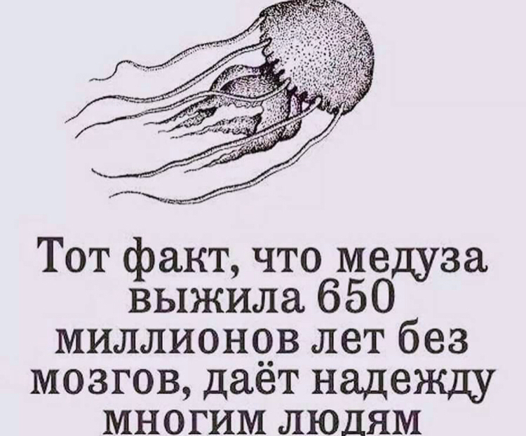 Не совсем на волне, но всё же - Моё, Родители и дети, Деньги, Позитив, Кот, Длиннопост