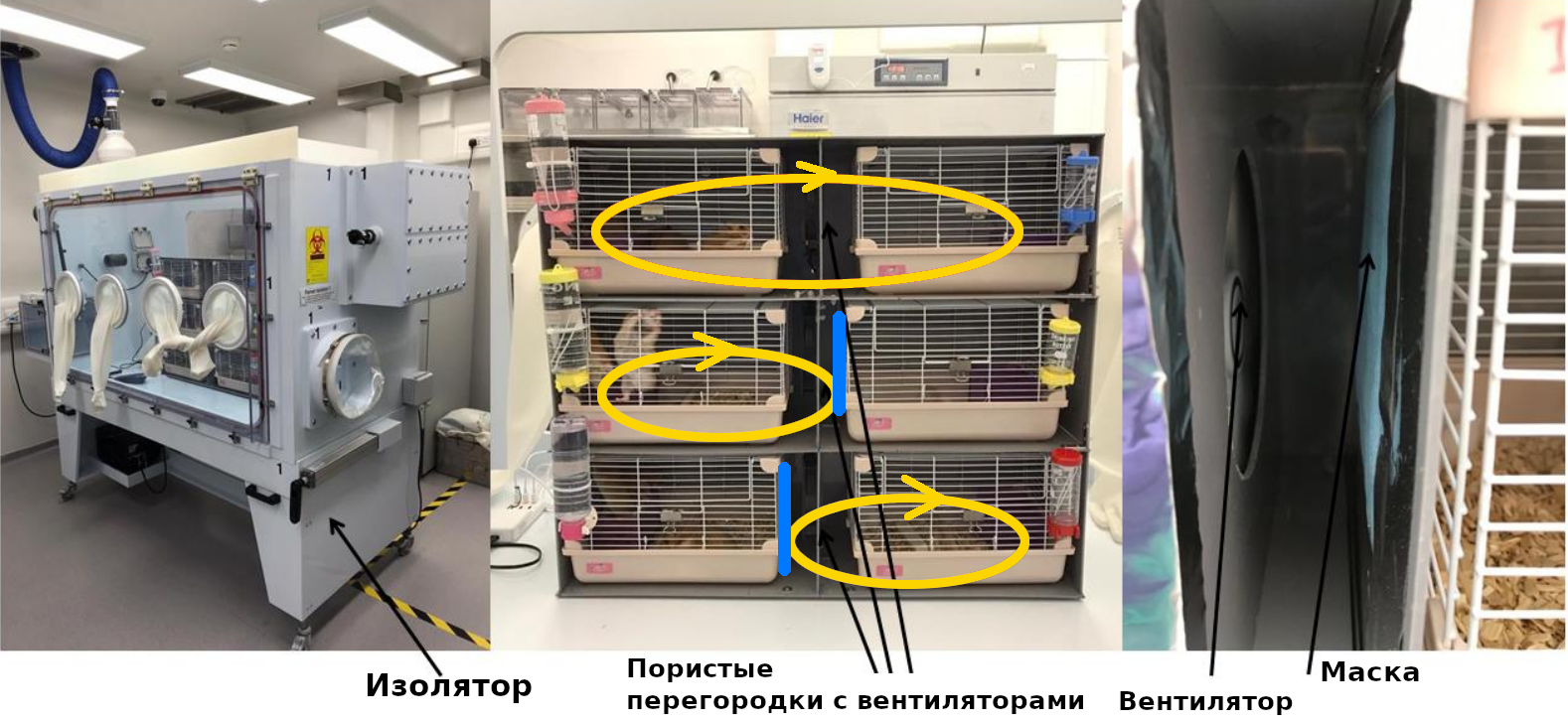 Почему все должны носить маски | Пикабу