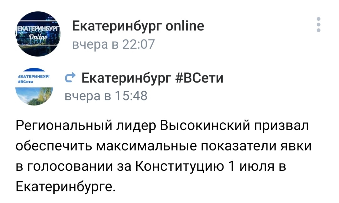 Богатство выбора - Политика, Екатеринбург, Конституция, Голосование, Длиннопост, Скриншот, ВКонтакте