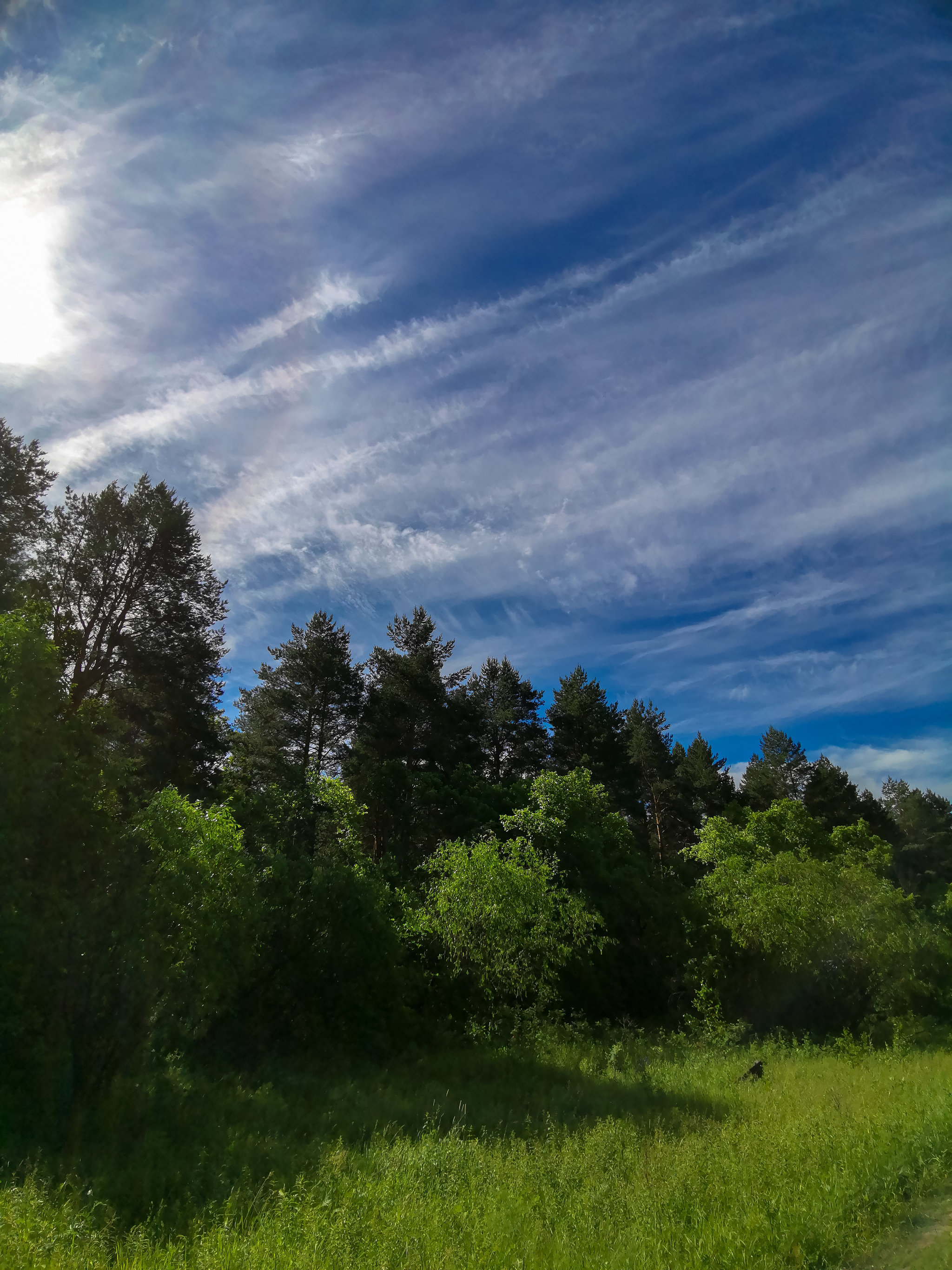 Landscape - My, Mobile photography, Landscape, Nature, Huawei mate 20, Longpost