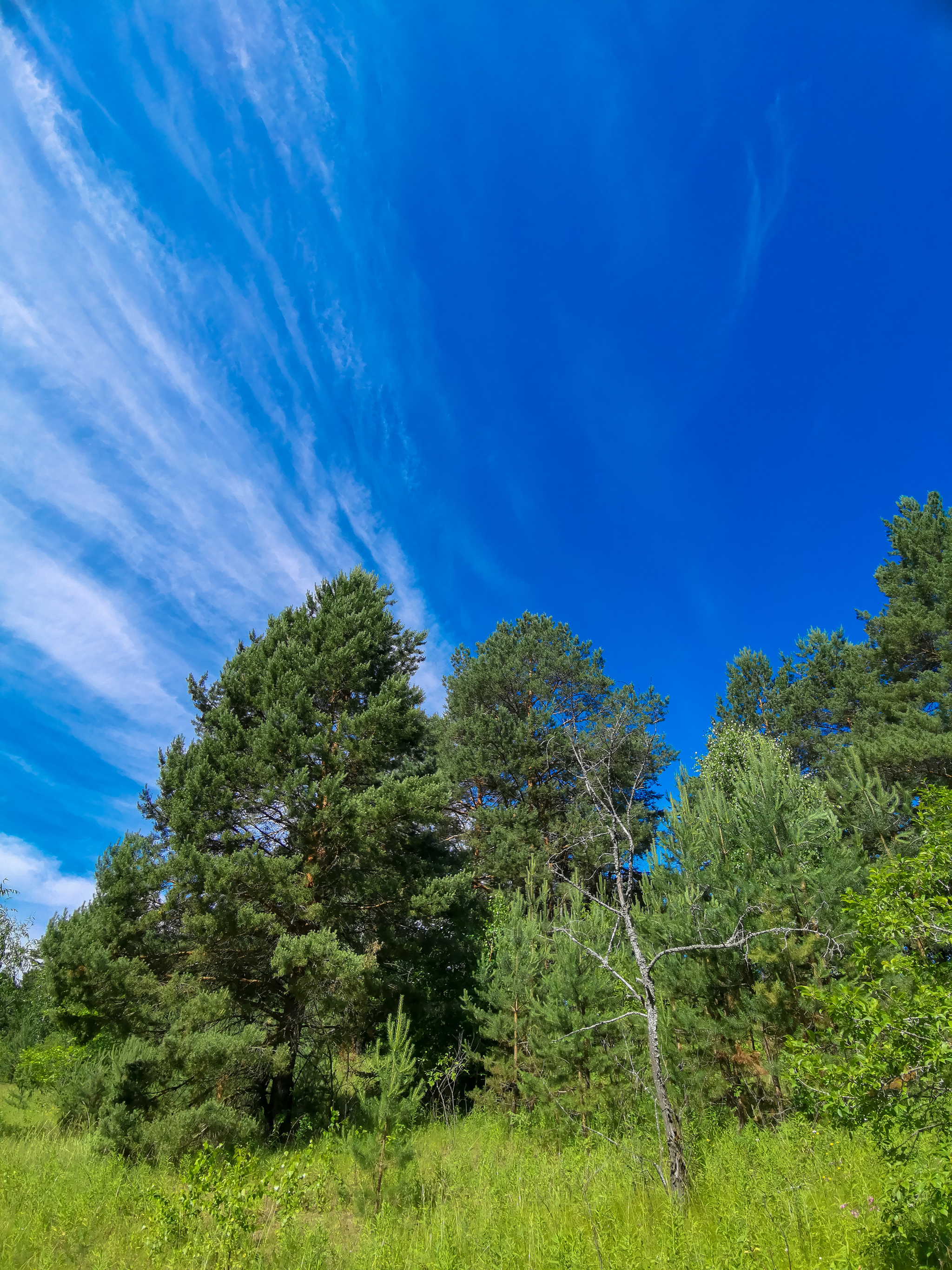 Landscape - My, Mobile photography, Landscape, Nature, Huawei mate 20, Longpost