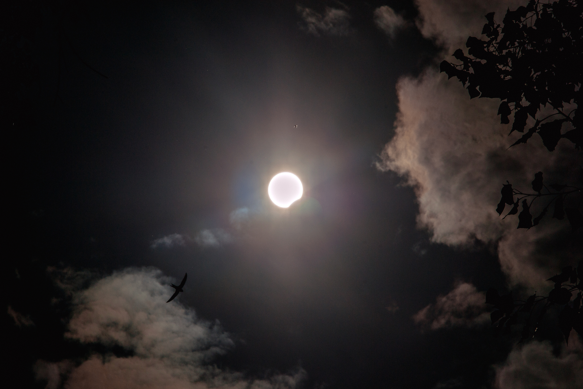 Today's solar eclipse - My, Solar eclipse, The photo, Nikon d3100