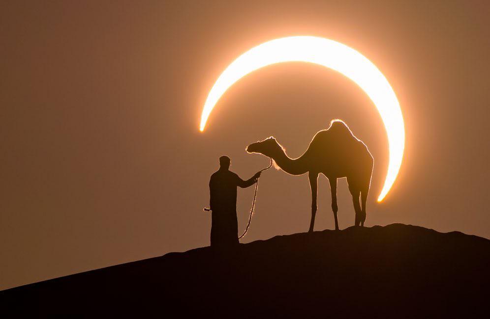 Yesterday's eclipse with a desert ship in the background - Solar eclipse, Camels