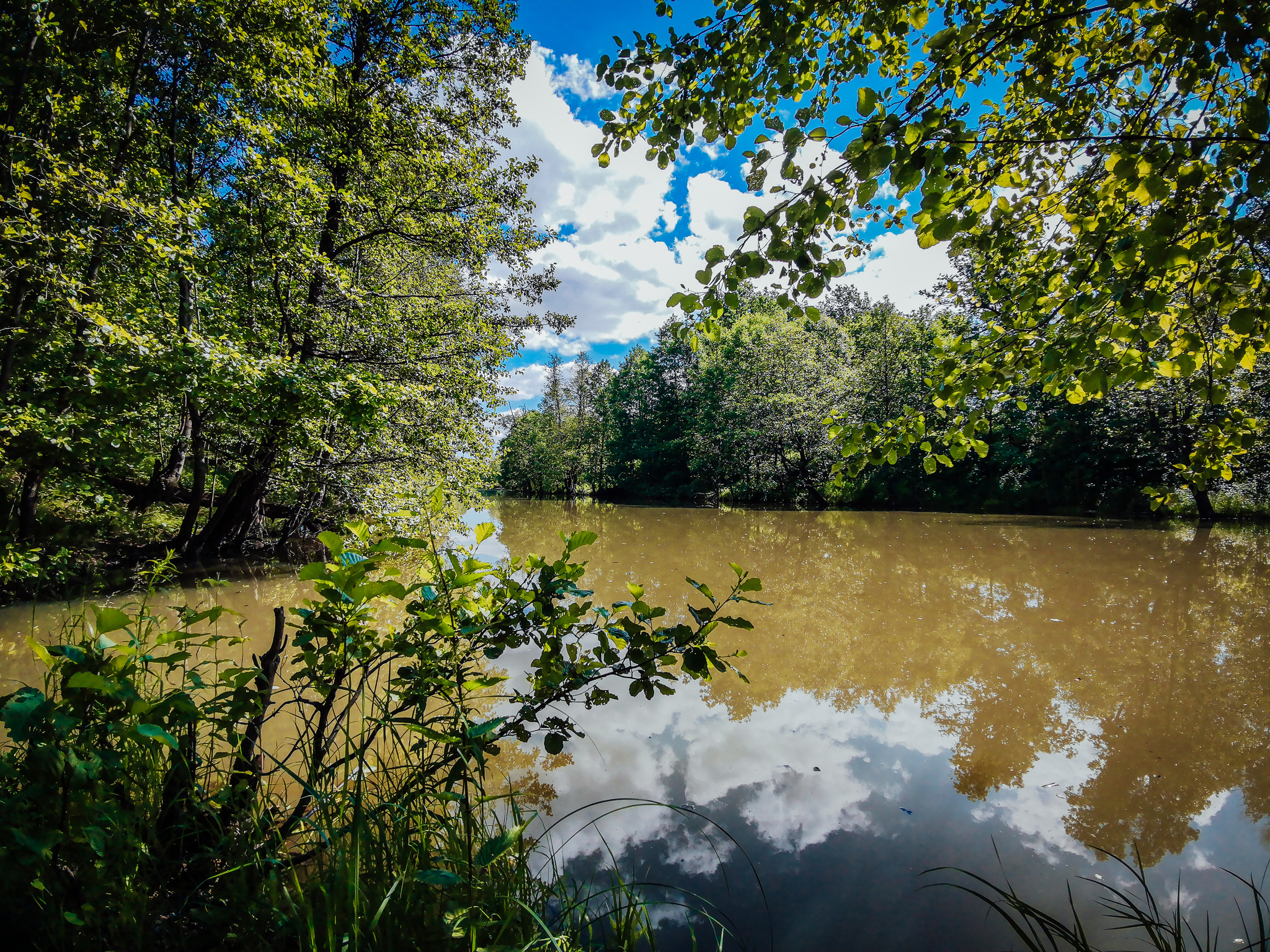 Mobile sketches - My, Mobile photography, Huawei mate 20, Nature, A bike, Lake, Dzerzhinsk, Video, Longpost