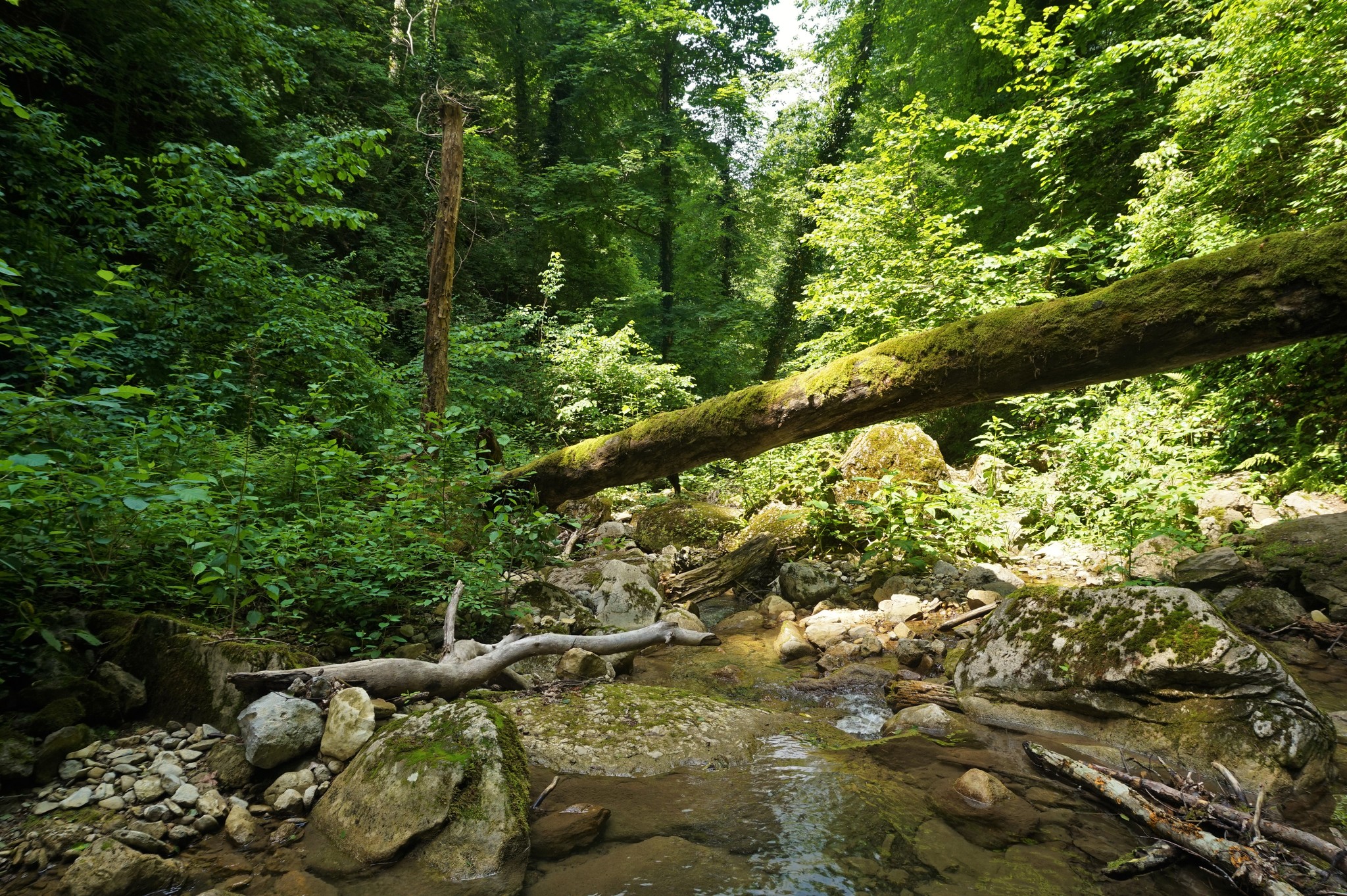 Walk to Kaverzinsky waterfalls - My, Hot Key, Краснодарский Край, Hike, Waterfall, Forest, Walk, Longpost