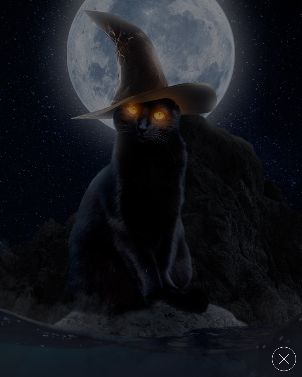 Several works in Photoshop - My, Crow, cat, Scull, Photoshop, Longpost