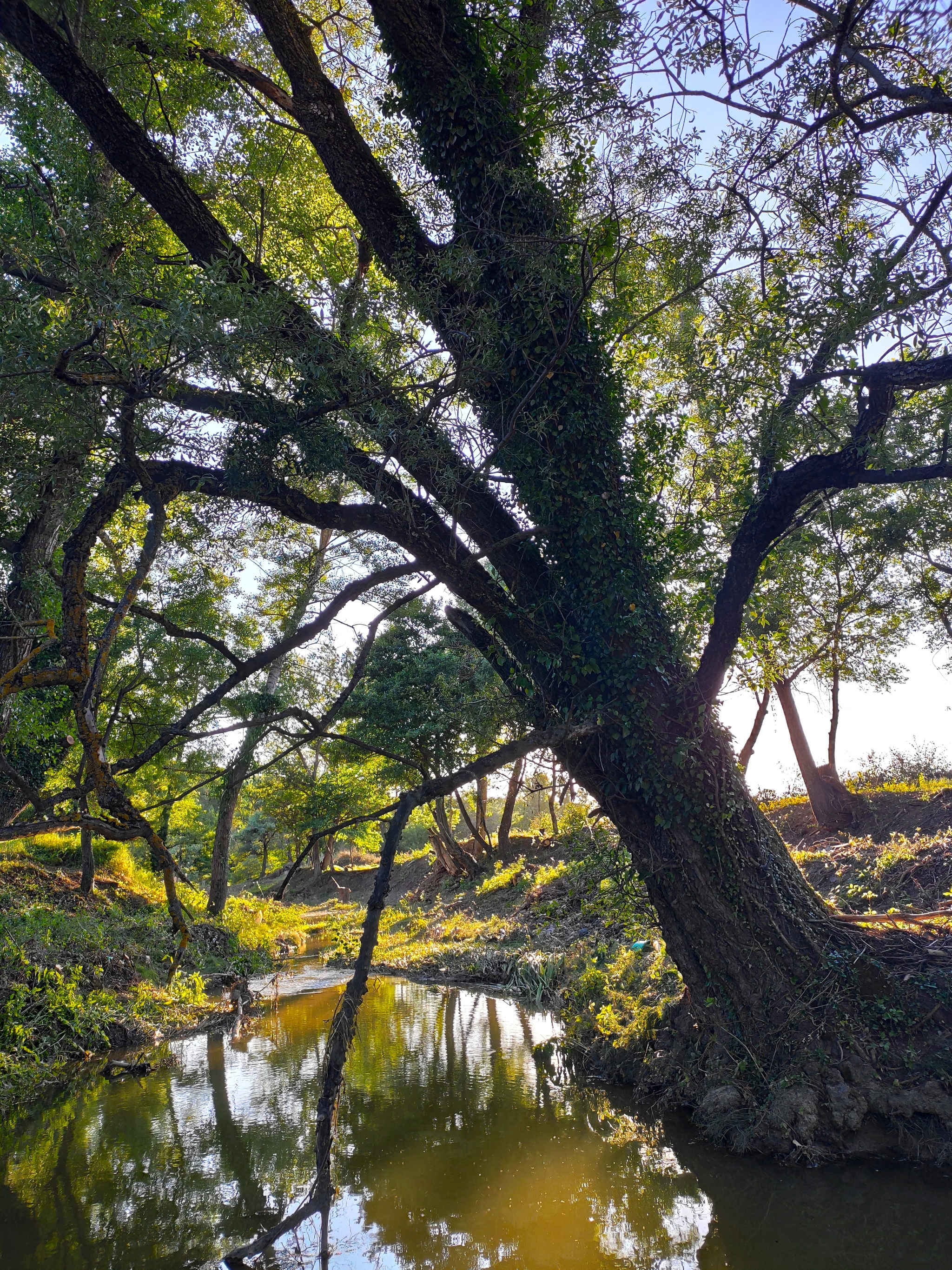 River in Kizilovka - My, The photo, River, Crimea