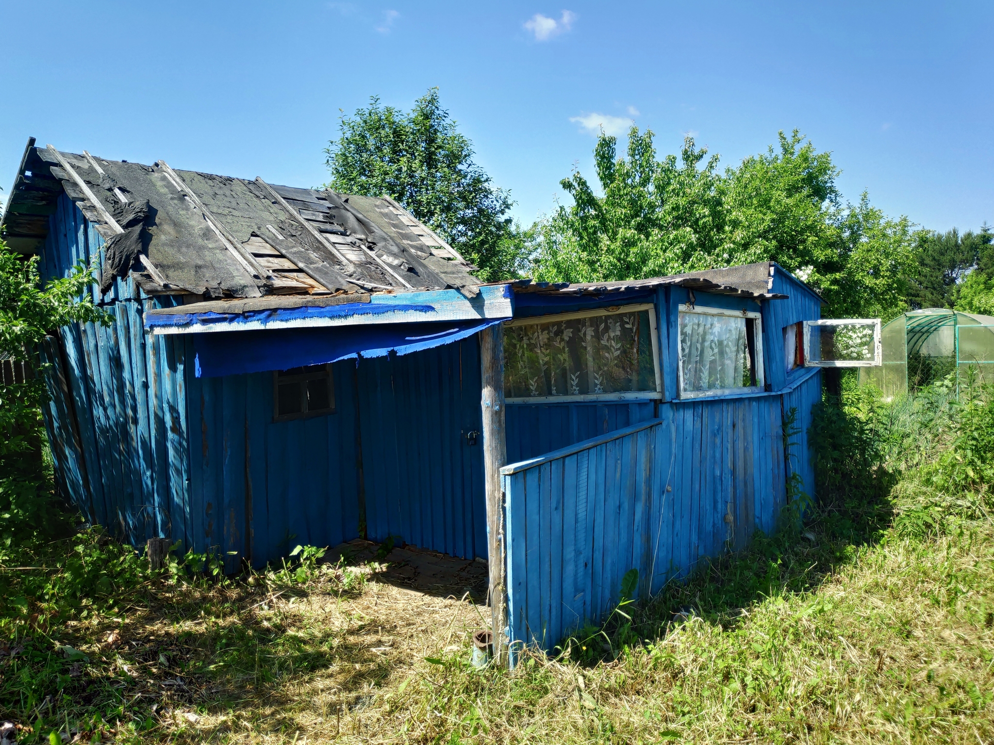 Vegetable garden/dacha My lazy dacha Part 2 Reconnaissance - My, Garden, Dacha, Mat, Longpost