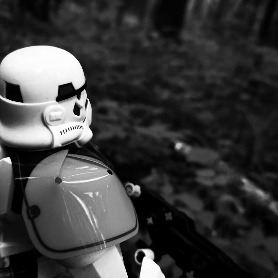 Storming the forest - My, PHOTOSESSION, Lego star wars, Forest, Lego, Star Wars, Milota, Longpost