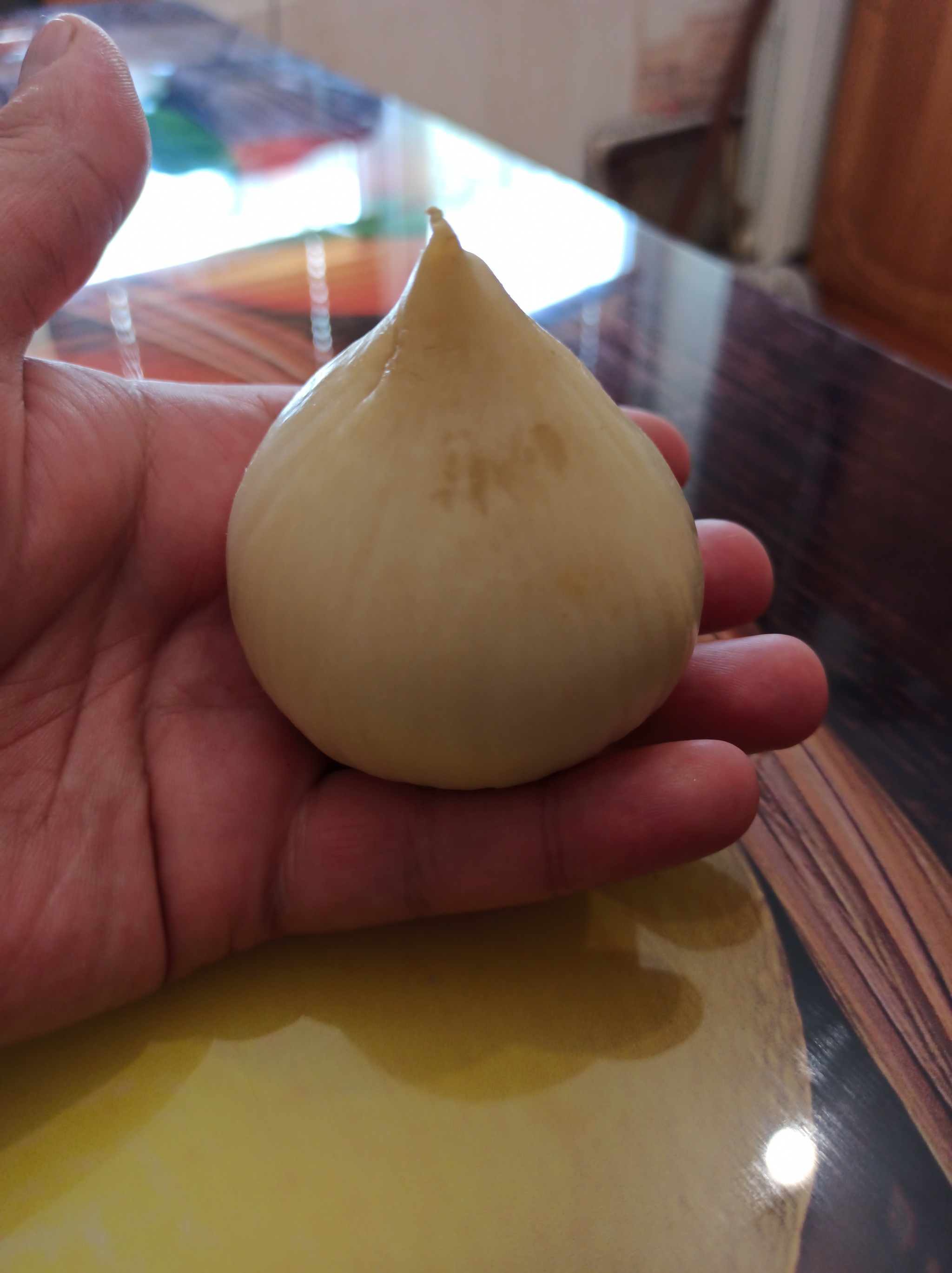 Garlic clove* (rocambole) - My, Garlic, Giants, Fancy food, Onion, Rocambole, Longpost