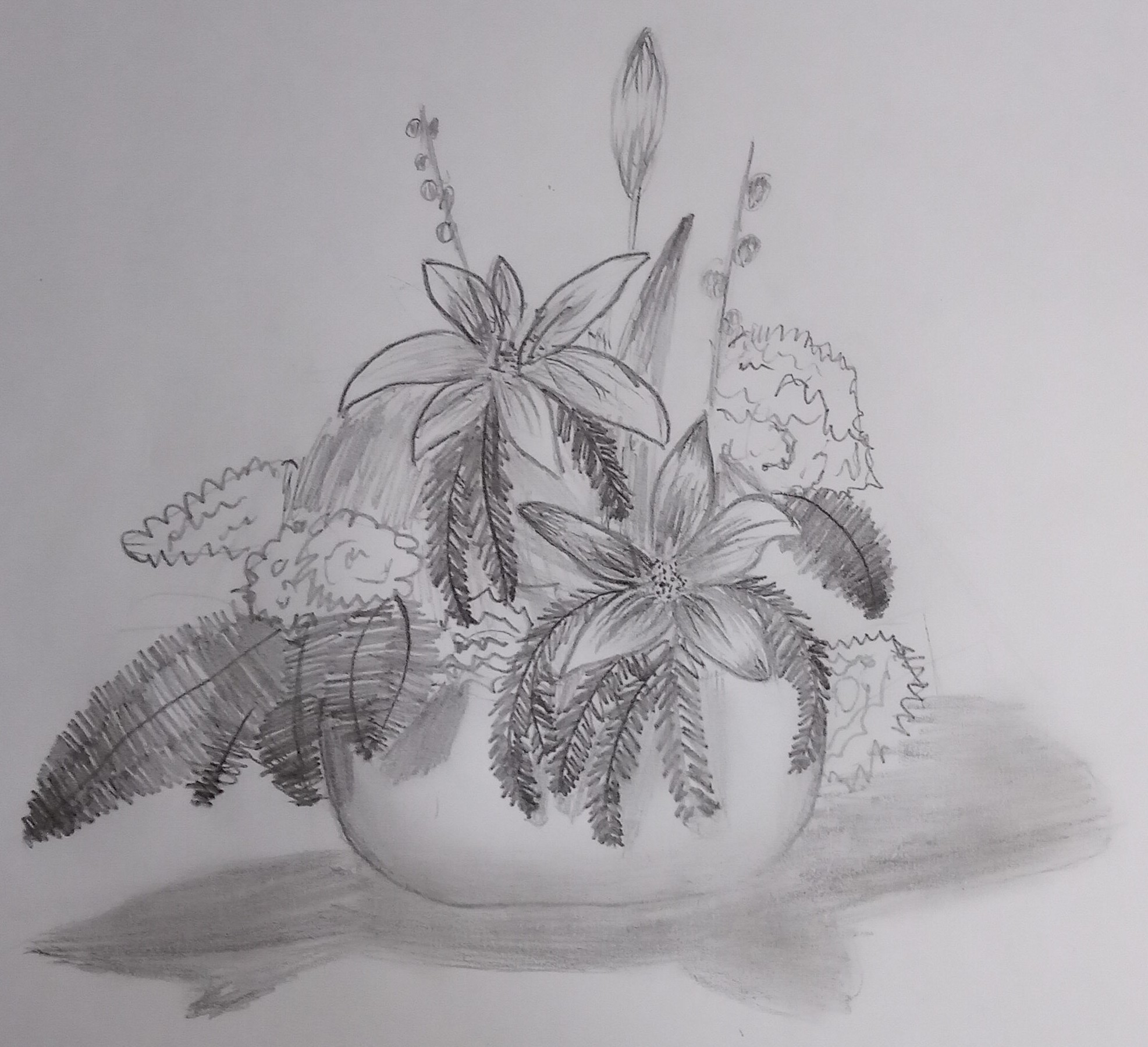 flower composition - My, Beginner artist, Junior Academy of Artists, Self-taught artist, Flowers, Composition, Simple pencil, Longpost