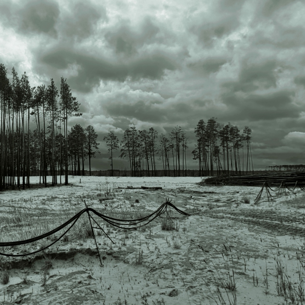 Sometimes I'm my mother's photographer - 2 - My, Photo on sneaker, The photo, Forest, Sand, Swamp, Longpost