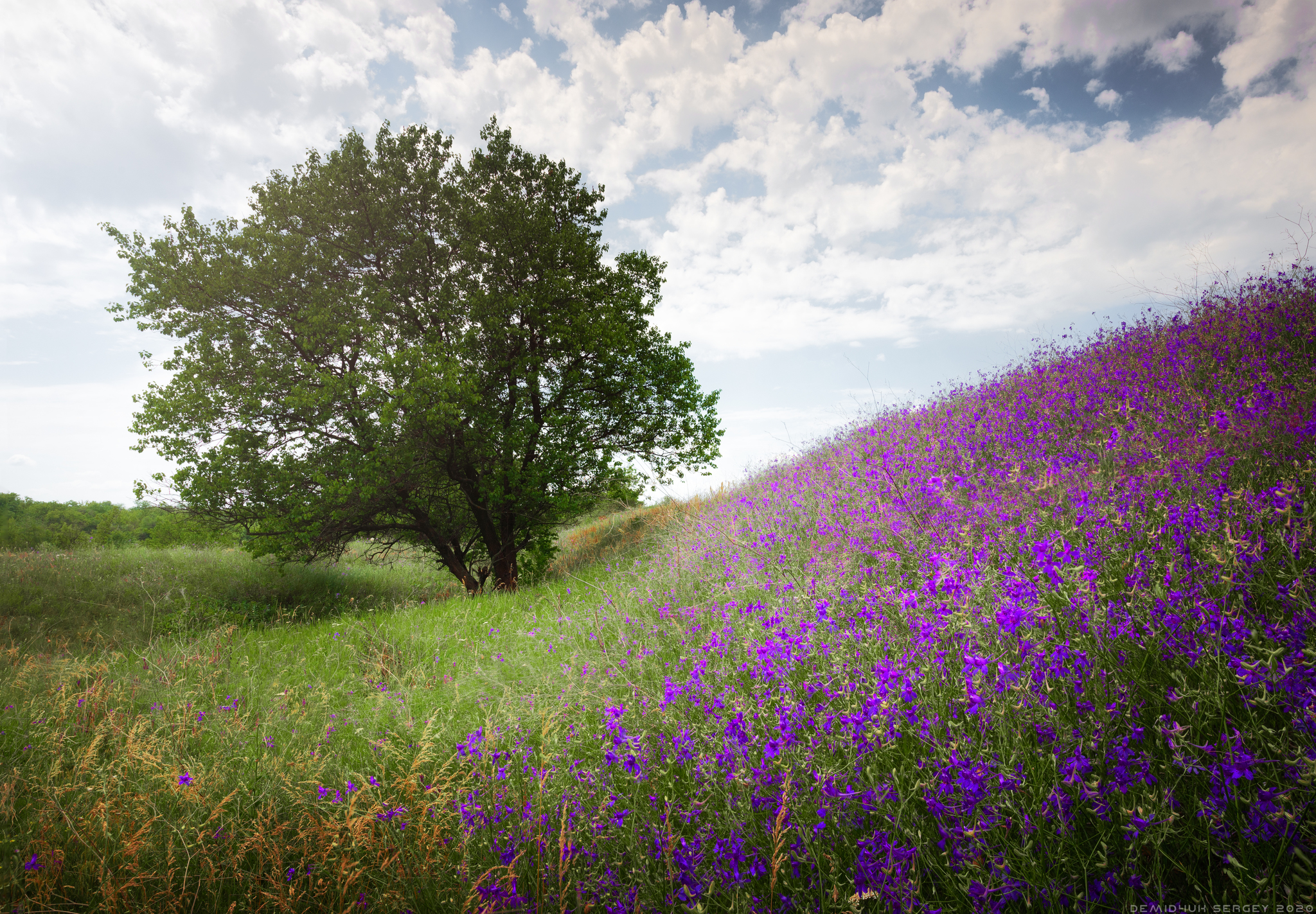 colors color) - My, The photo, Summer, Landscape, The hills, Color