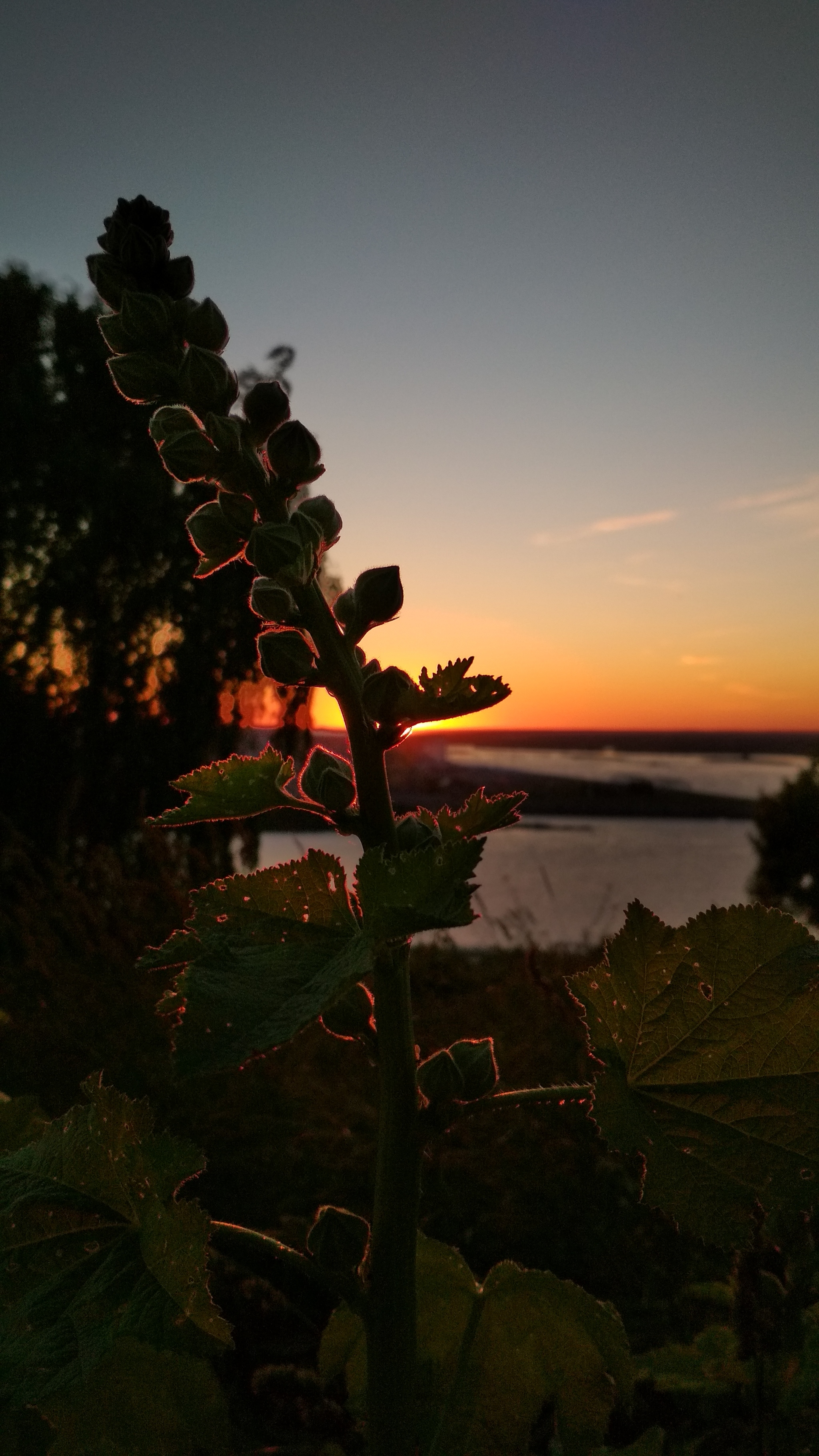 Nizhny Novgorod - the real capital of sunsets - My, Nizhny Novgorod, Sunset, Longpost