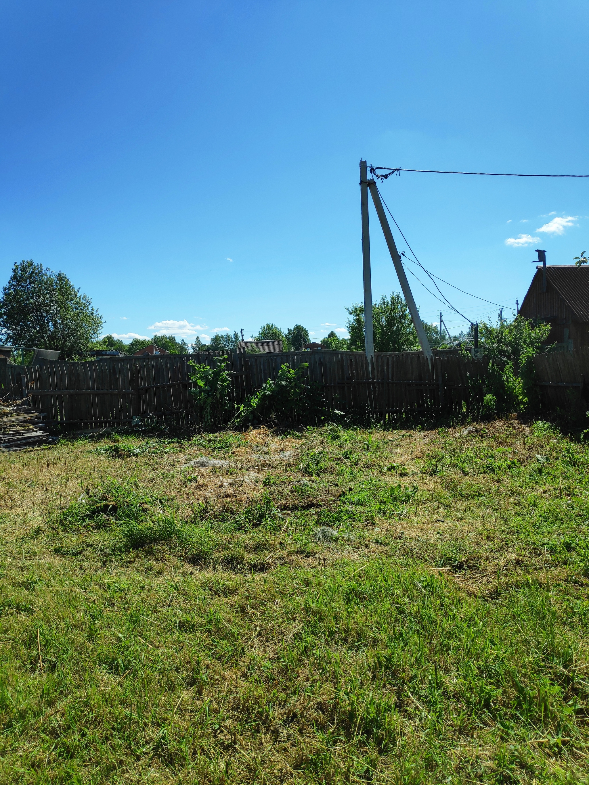 Vegetable garden/dacha “My lazy dacha” Part 5 “Photos, boards, two pins” - My, Dacha, Garden, Mat, Longpost