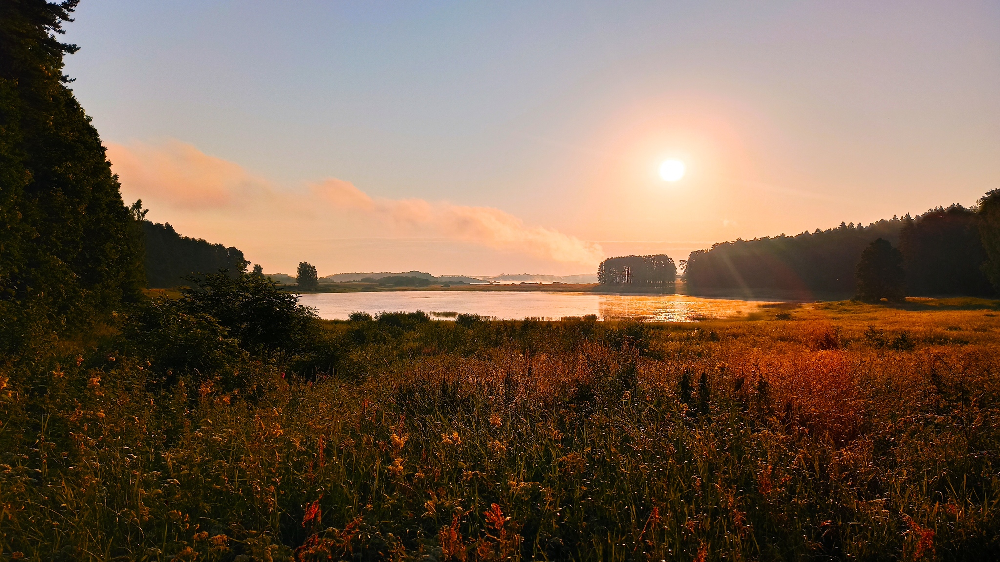 Morning walk - My, Pushkin Mountains, Morning, Walk