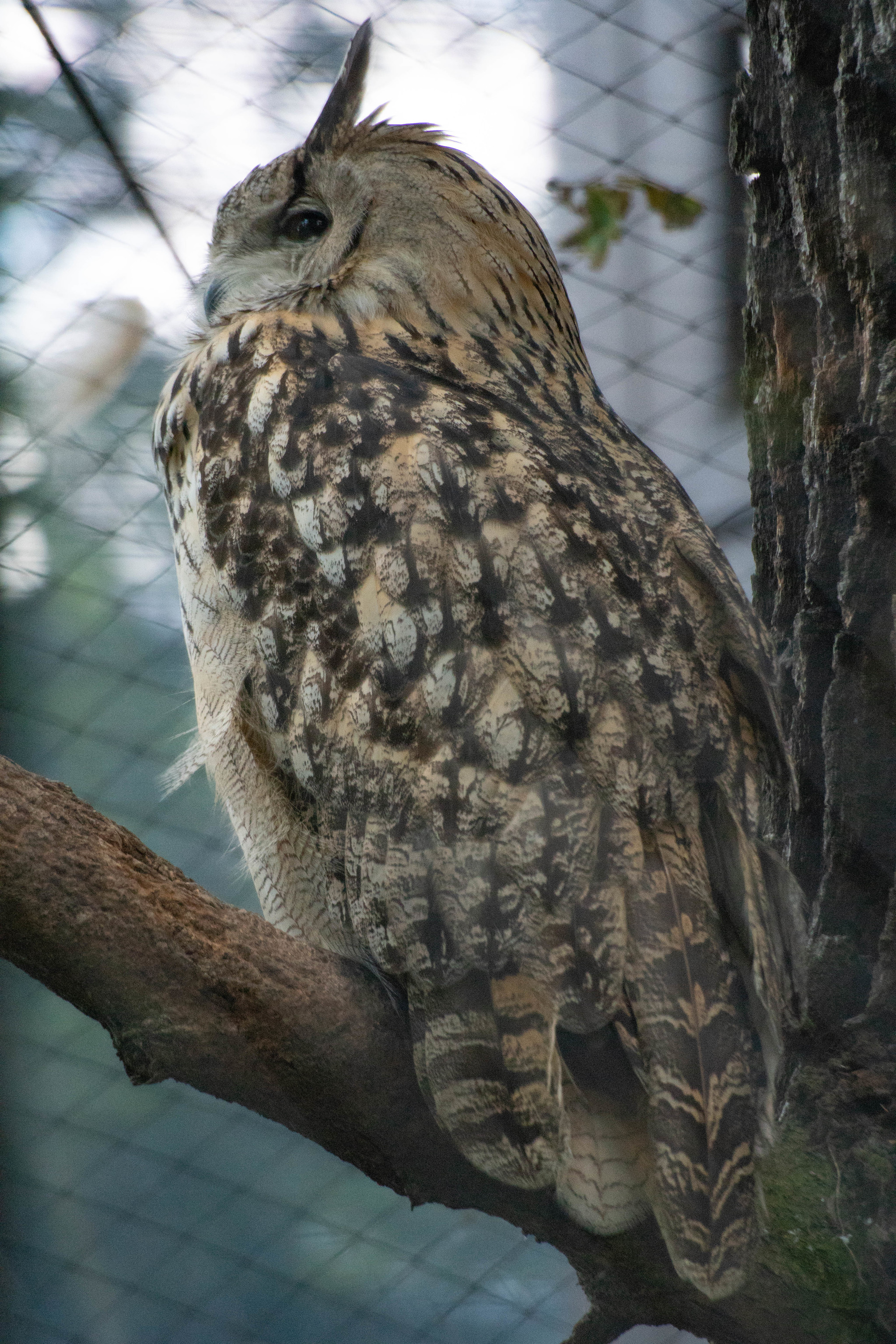 Kaliningrad Zoo - My, Kaliningrad Zoo, The photo, Animals, Longpost