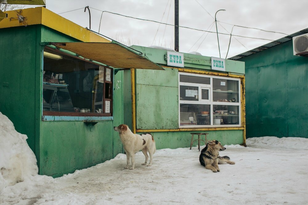 Belozersk - the aroma of calm and leisurely - Provinces, Reportage, The photo, Belozersk, Society, Accordion, Travels, Longpost