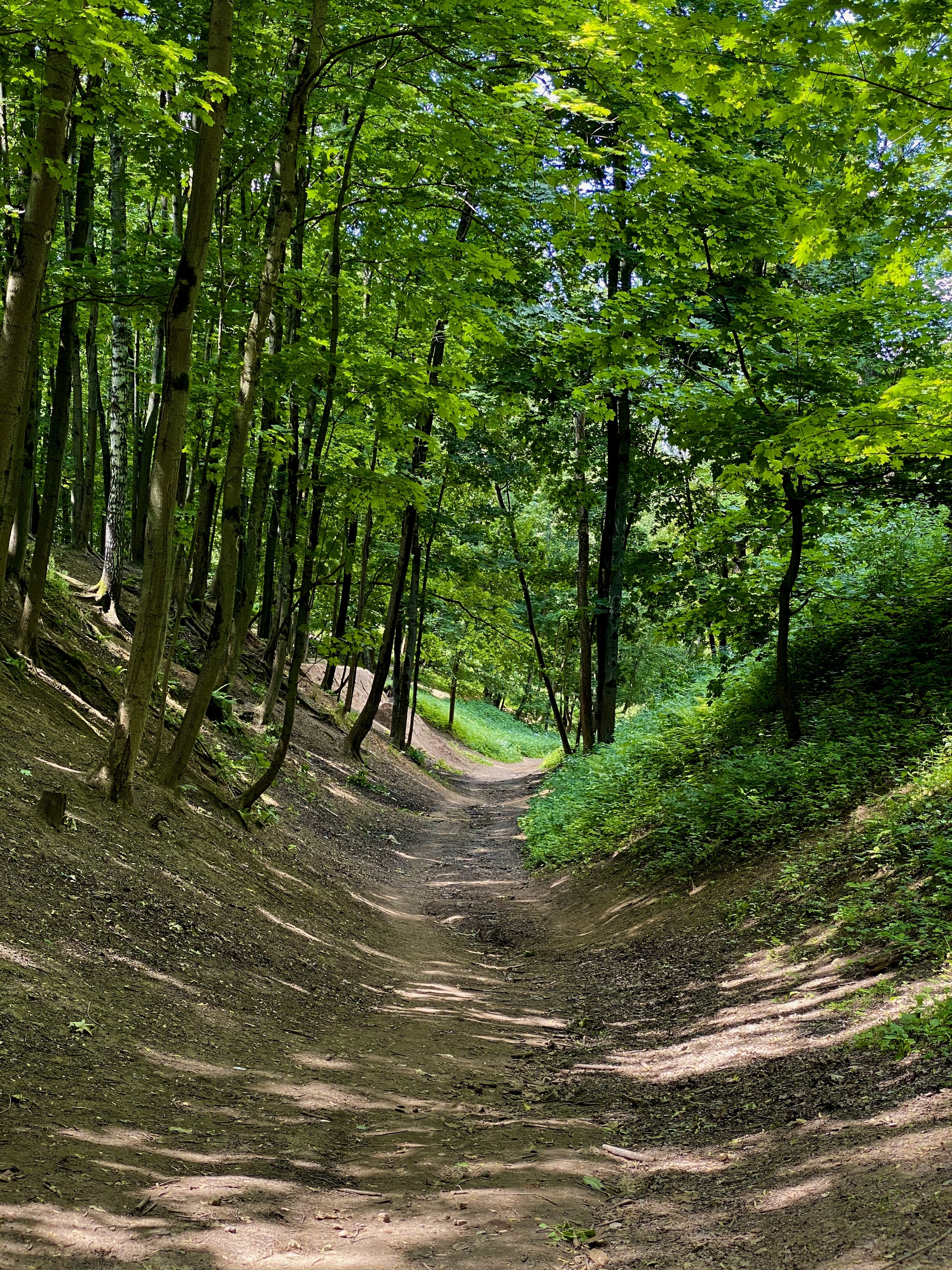 Pokrovskoye-Streshnevo 2020 - My, Pokrovskoye-Streshnevo, The park, Nature, Longpost