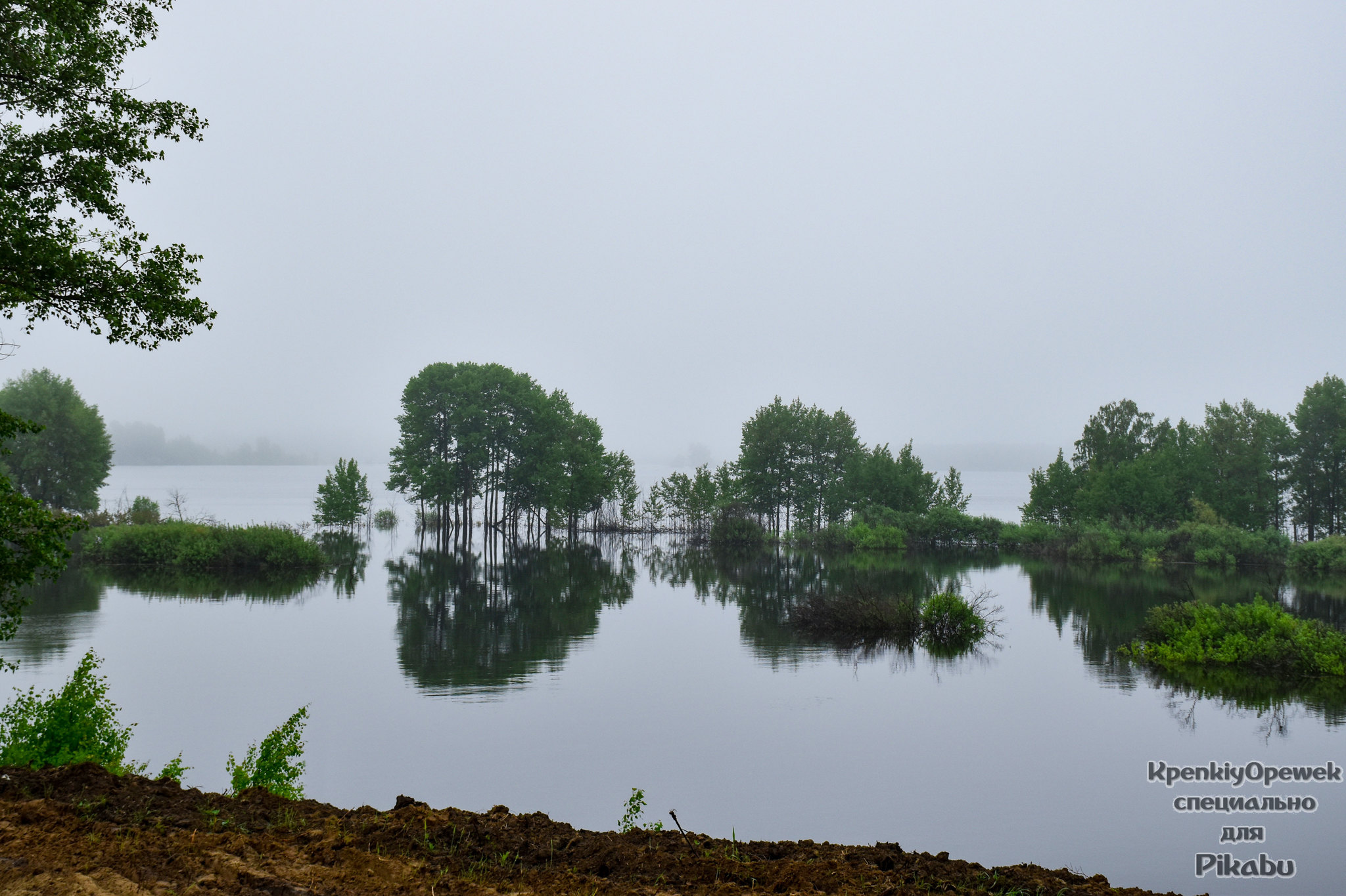 High water. Fog - My, Rook, The photo, Flood, Fog, Tyumen, River