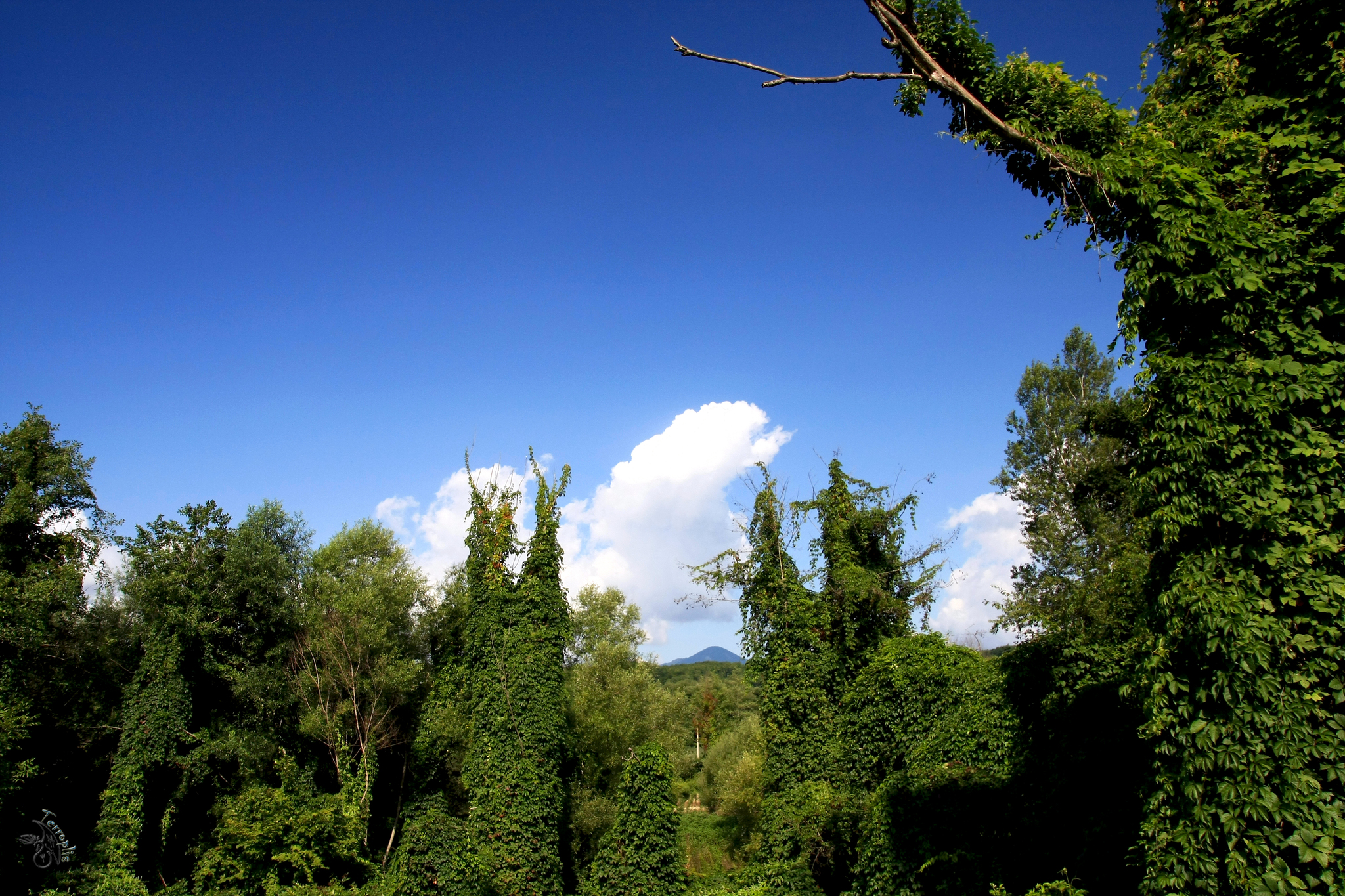 First lap. Conversations with stones - My, Forest, The mountains, Caucasus, Waterfall, Dolmens, Hike, Travels, First post, Longpost