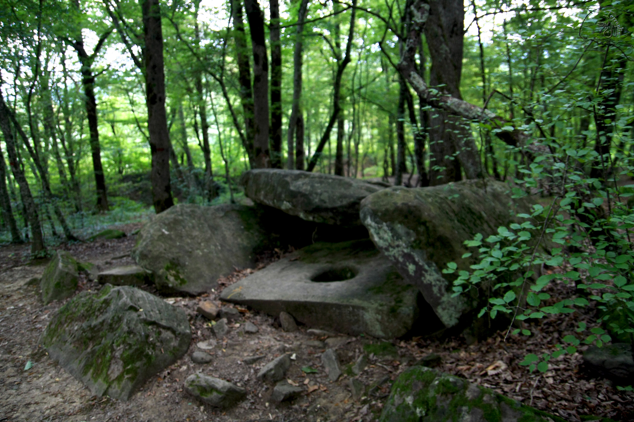 First lap. Conversations with stones - My, Forest, The mountains, Caucasus, Waterfall, Dolmens, Hike, Travels, First post, Longpost