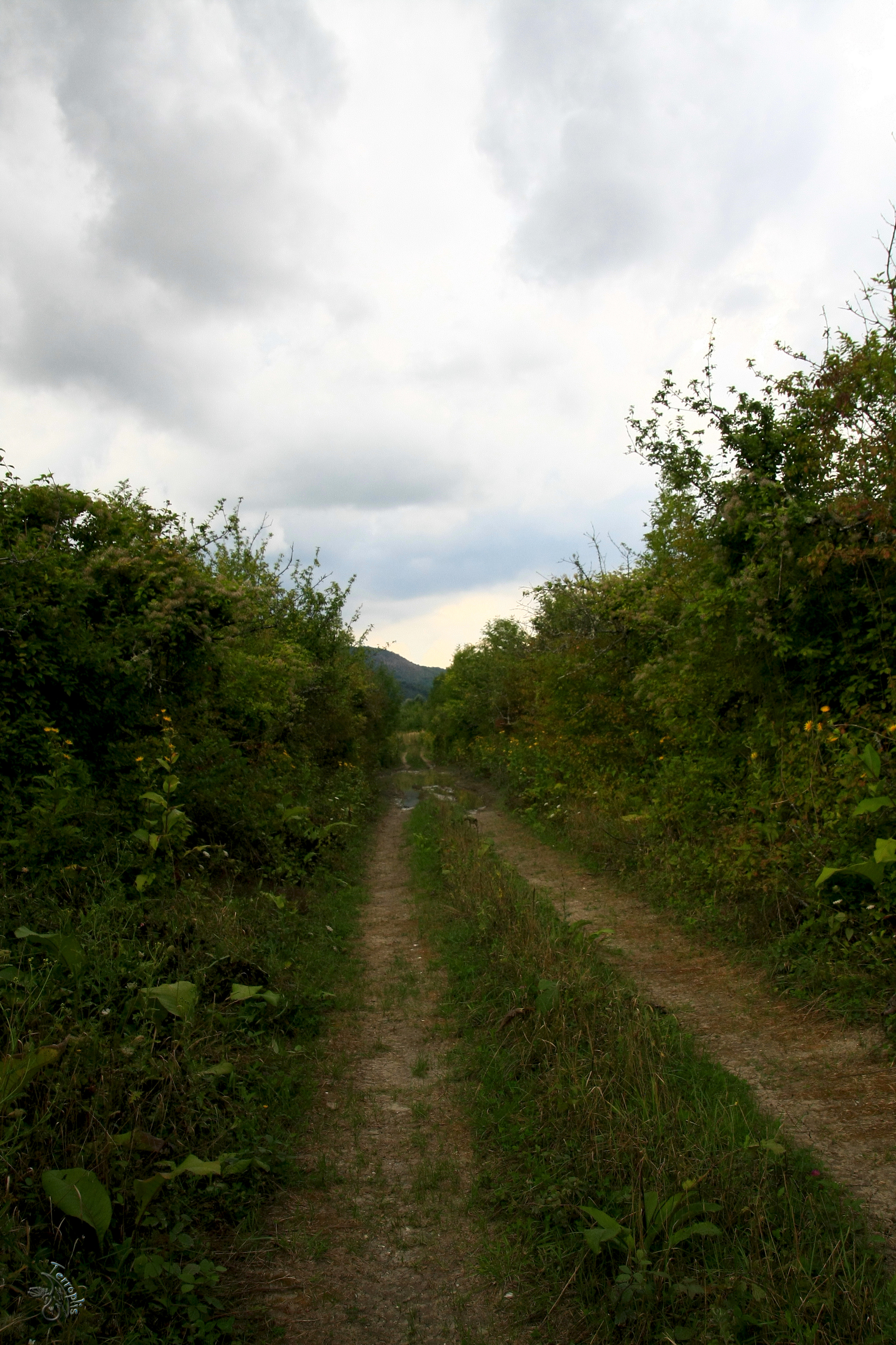 First lap. Conversations with stones - My, Forest, The mountains, Caucasus, Waterfall, Dolmens, Hike, Travels, First post, Longpost